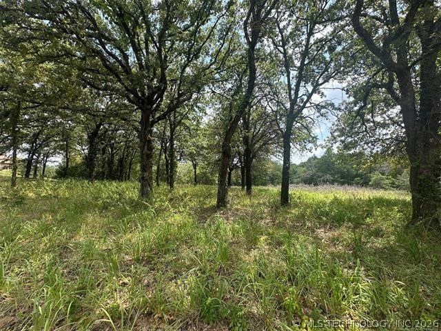 Alberta Creek Kingston OK 73439