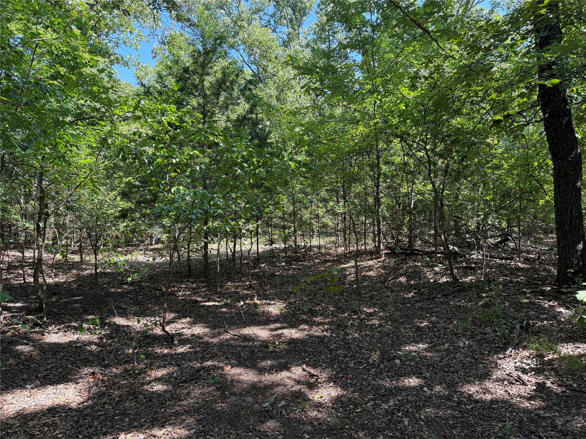 000 Oak Hills Drive Tishomingo OK 73460