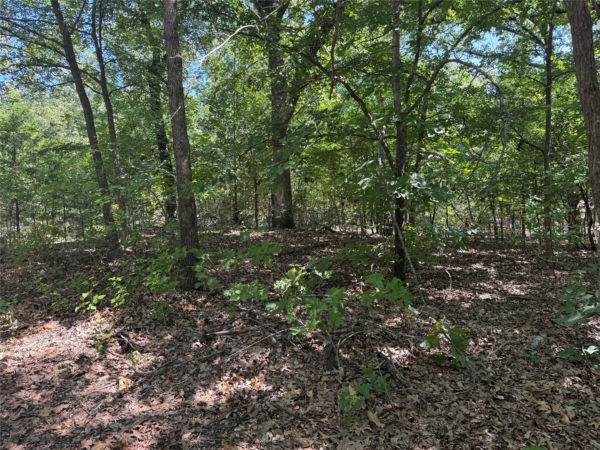 000 Oak Hills Drive Tishomingo OK 73460