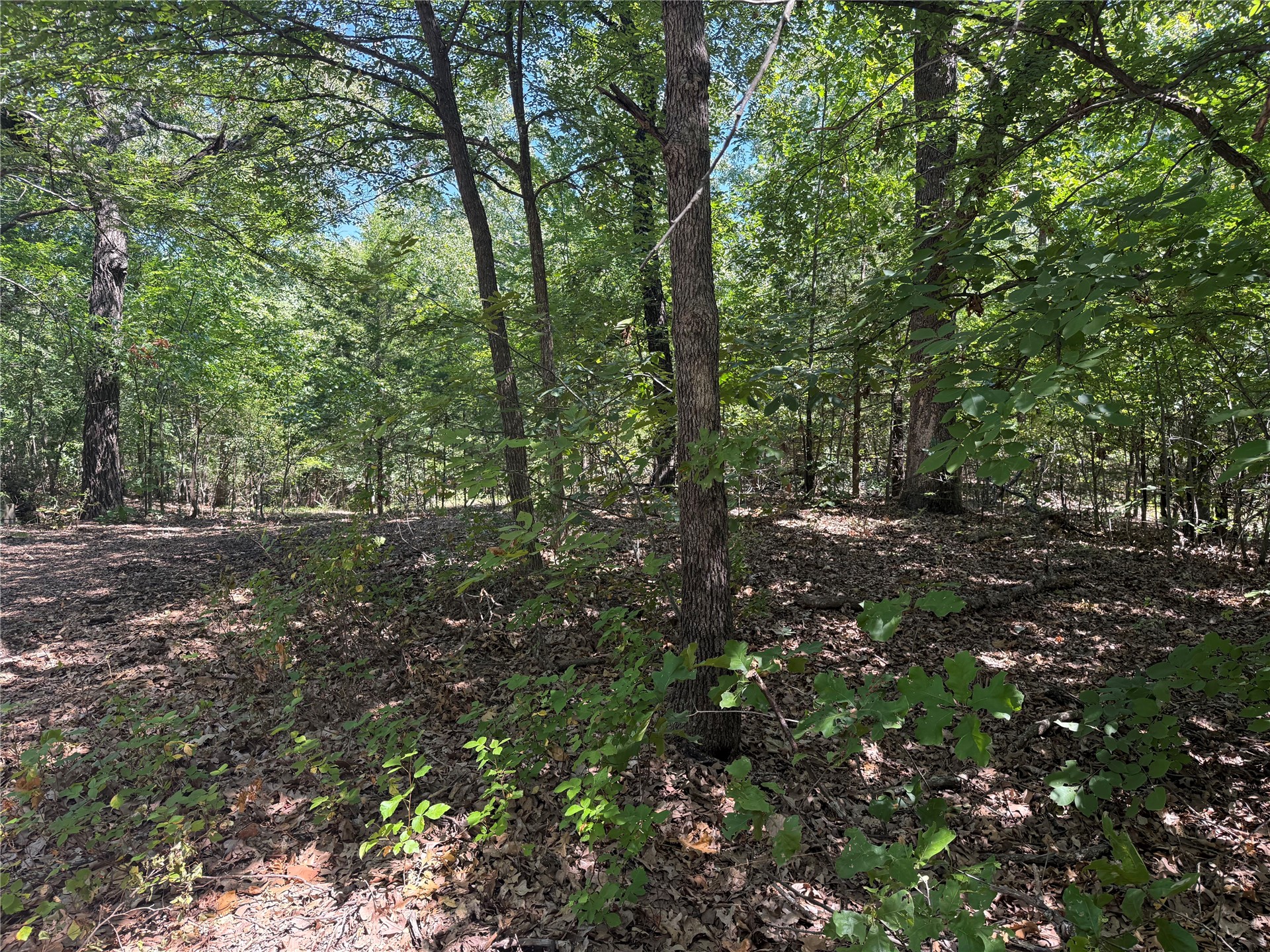 000 Oak Hills Drive Tishomingo OK 73460