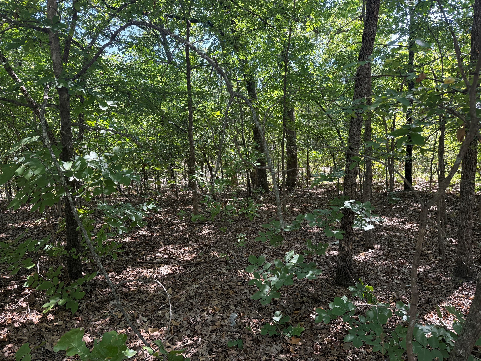 000 Oak Hills Drive Tishomingo OK 73460