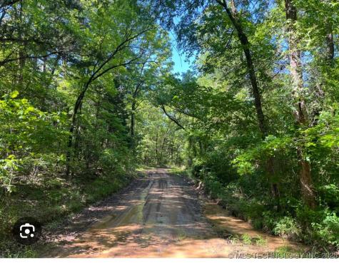 0000 Sherman Road Moyers OK 74557