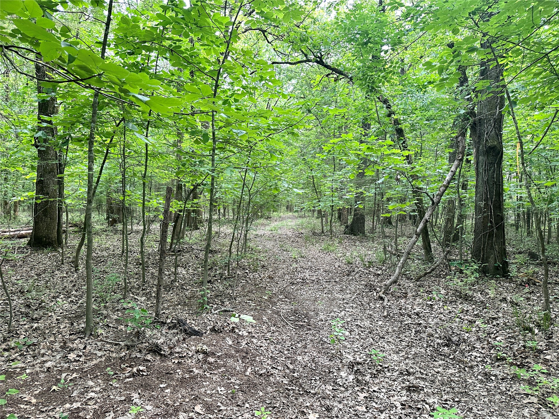 623 Dozer Mountain Road Eufaula OK 74432