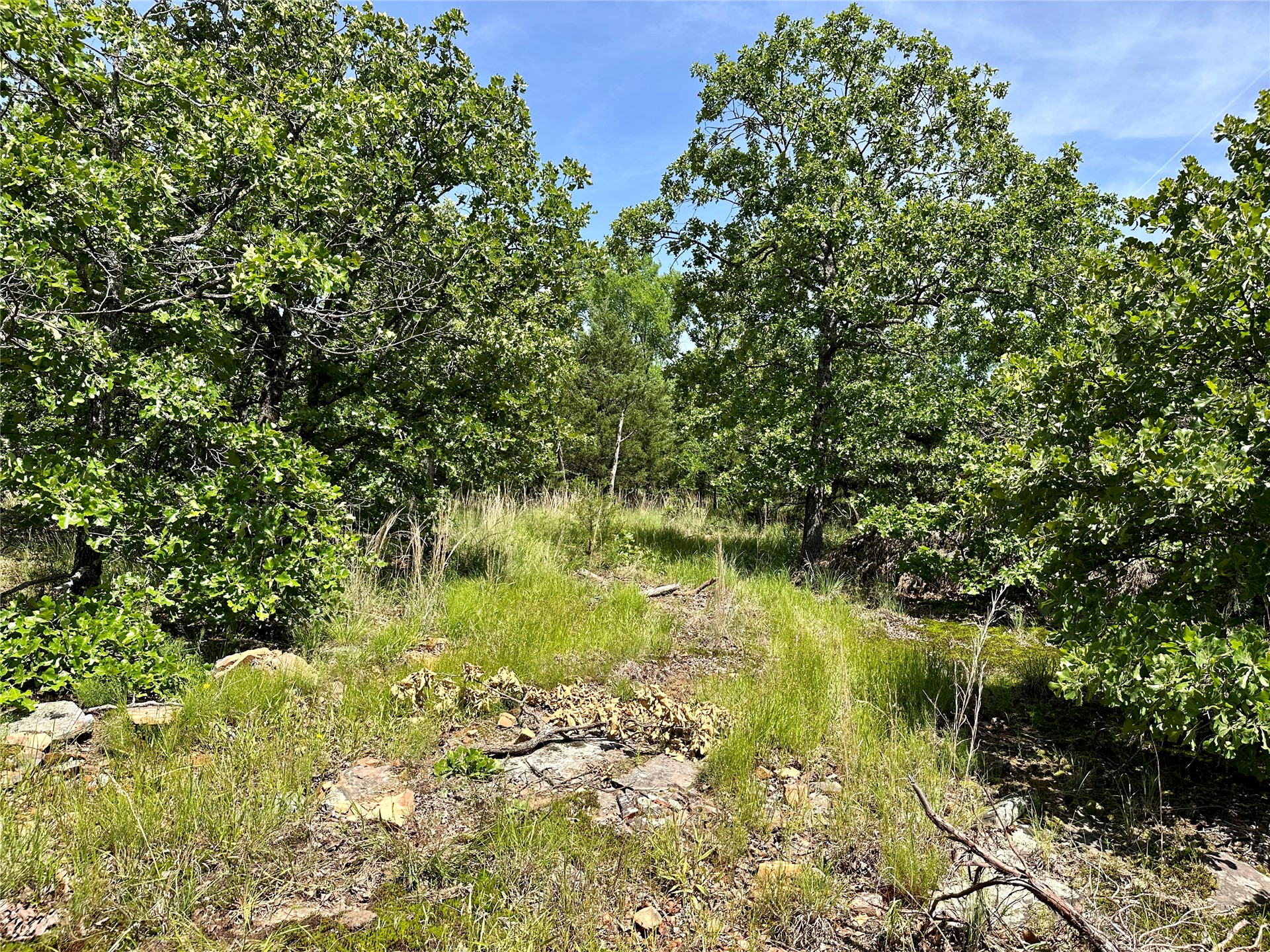 623 Dozer Mountain Road Eufaula OK 74432