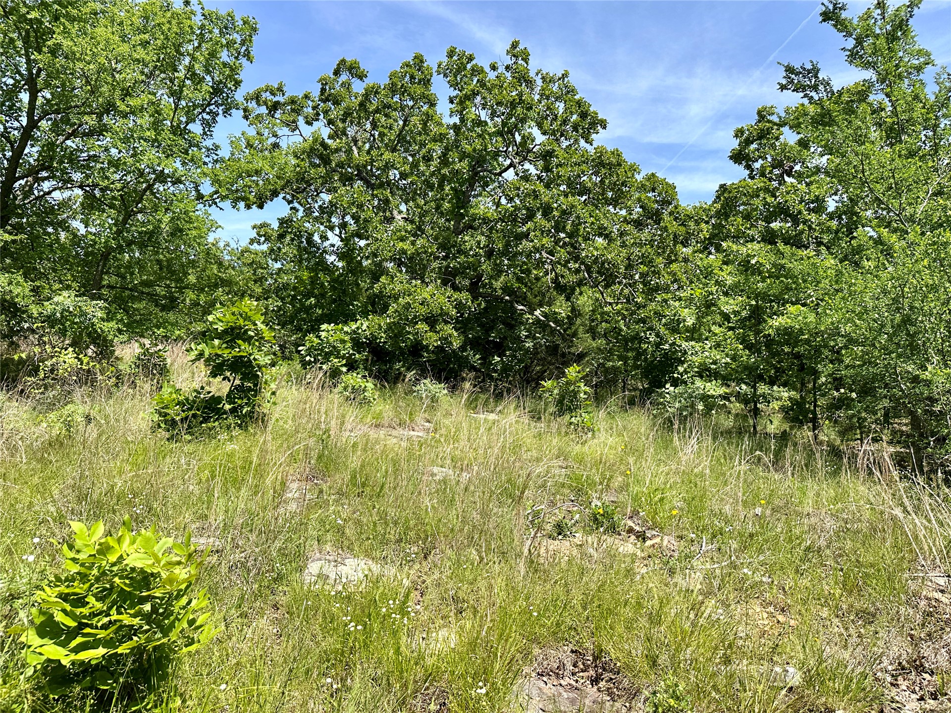 623 Dozer Mountain Road Eufaula OK 74432