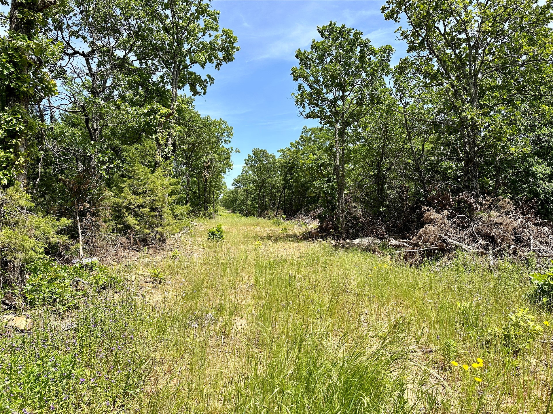 623 Dozer Mountain Road Eufaula OK 74432