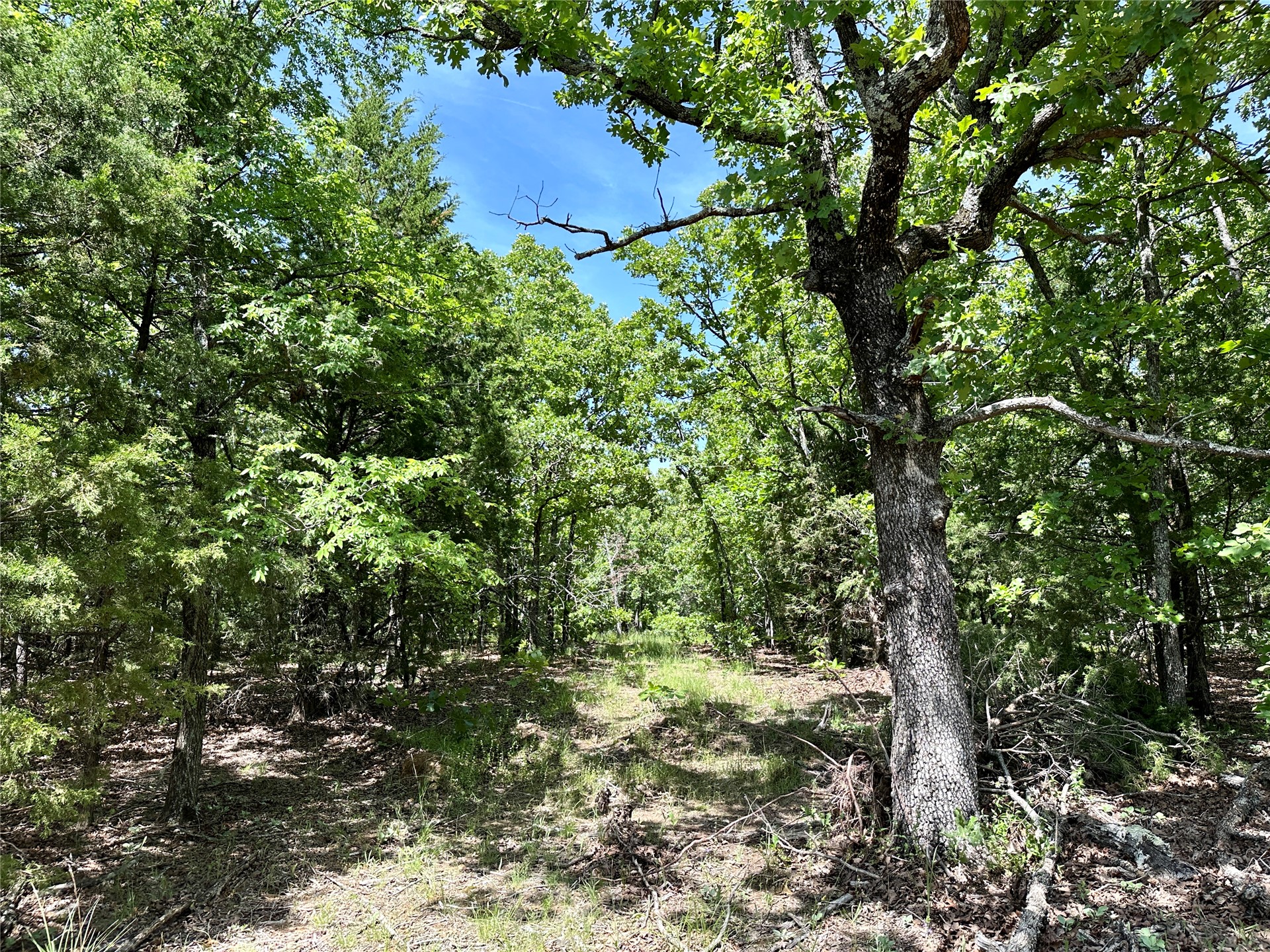 623 Dozer Mountain Road Eufaula OK 74432