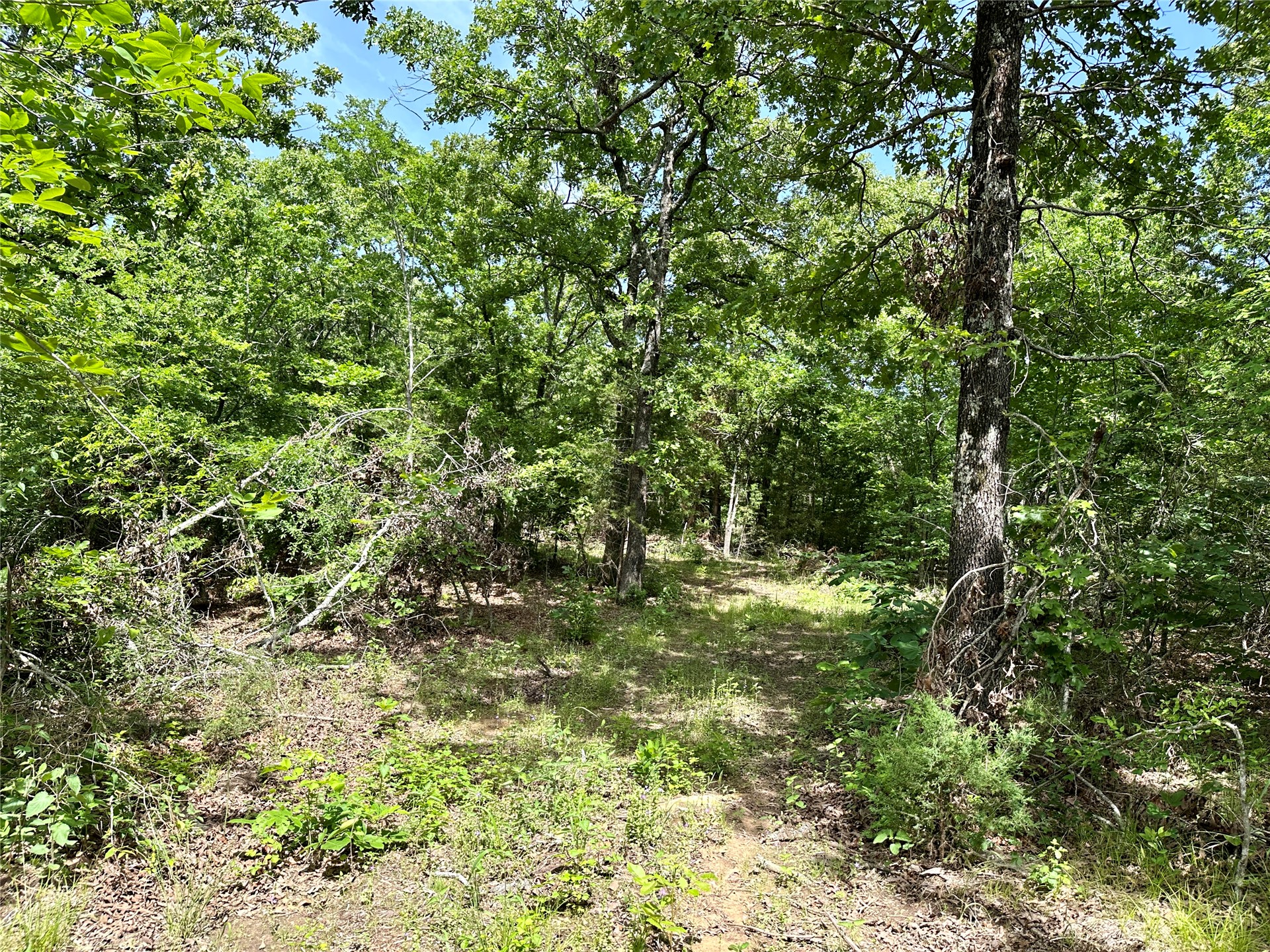 623 Dozer Mountain Road Eufaula OK 74432