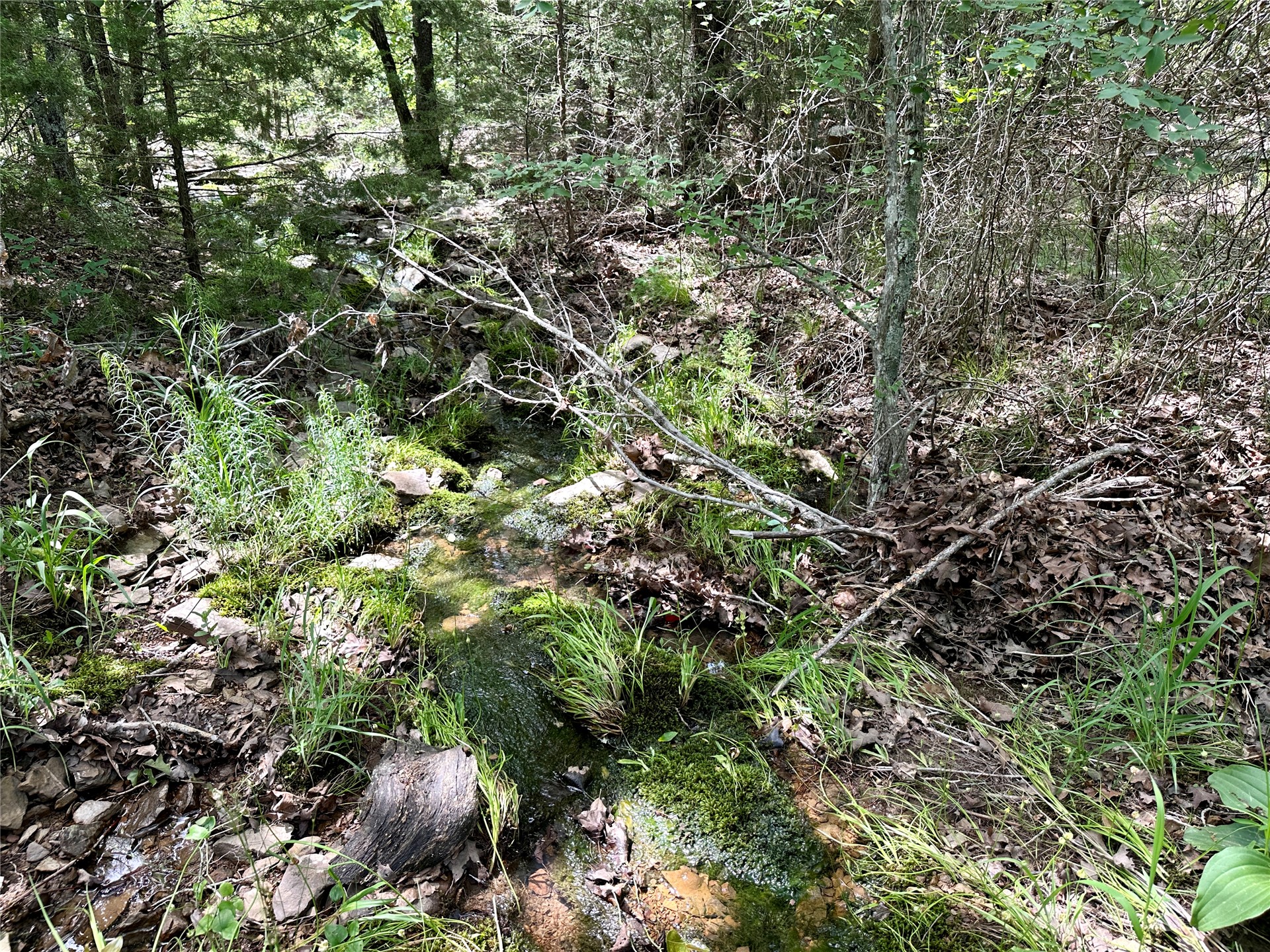 623 Dozer Mountain Road Eufaula OK 74432