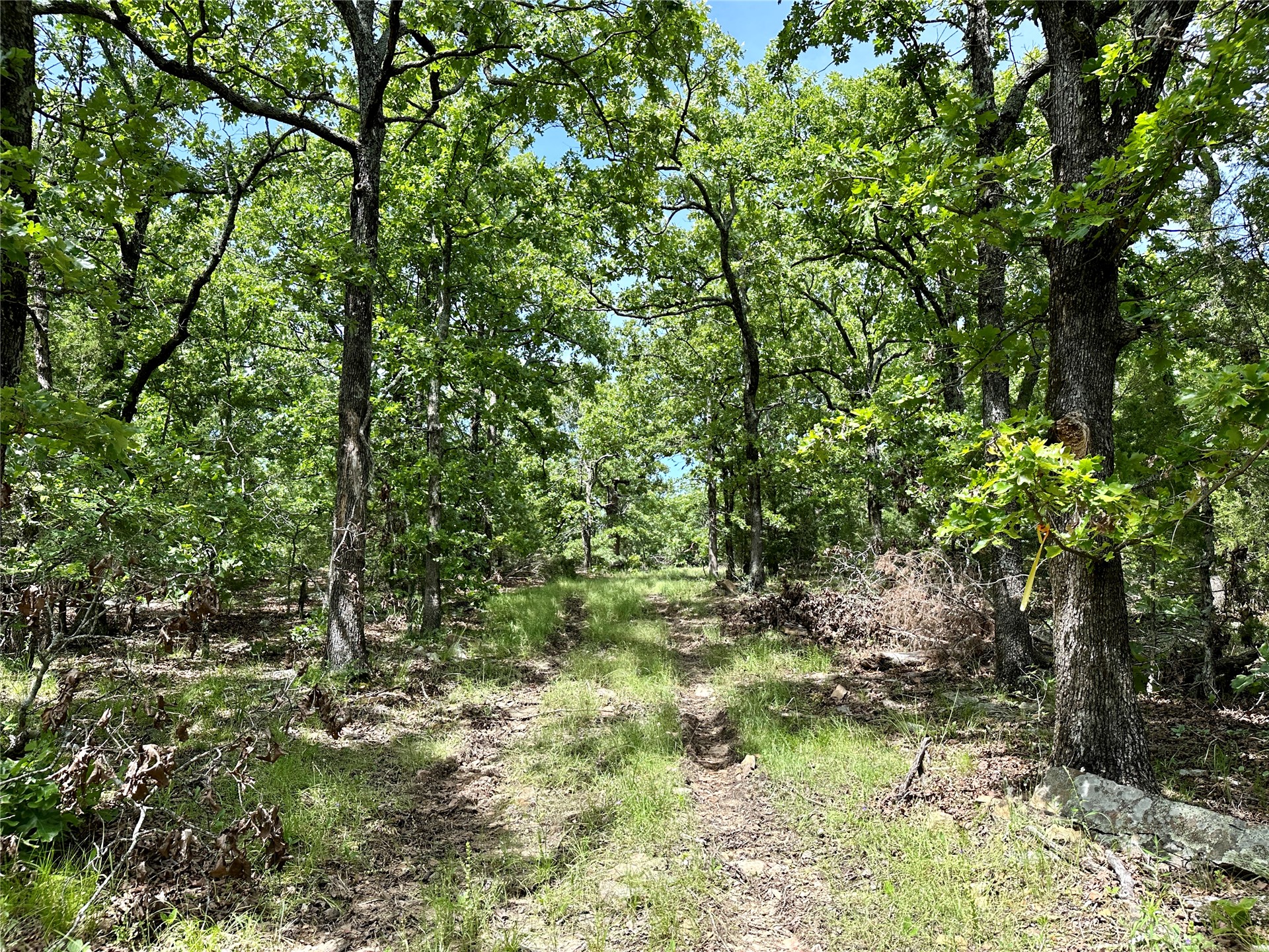 623 Dozer Mountain Road Eufaula OK 74432