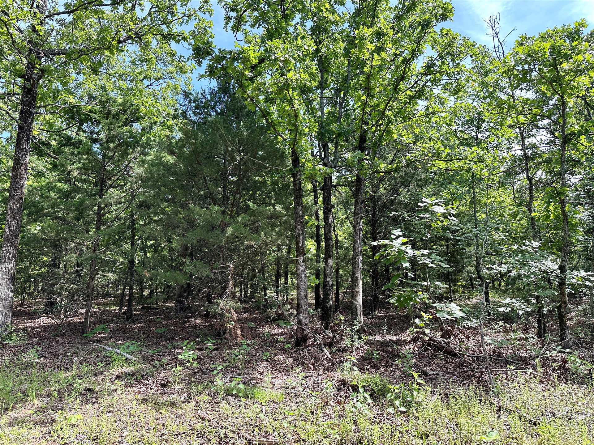623 Dozer Mountain Road Eufaula OK 74432