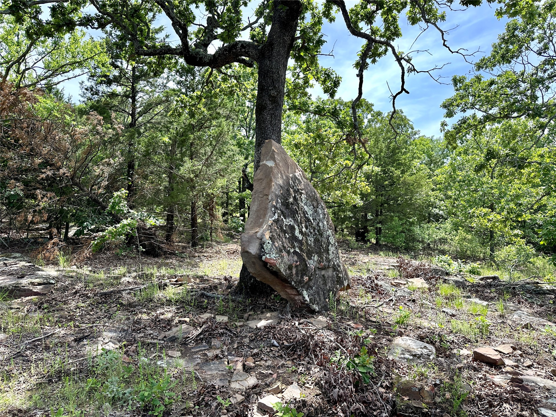623 Dozer Mountain Road Eufaula OK 74432