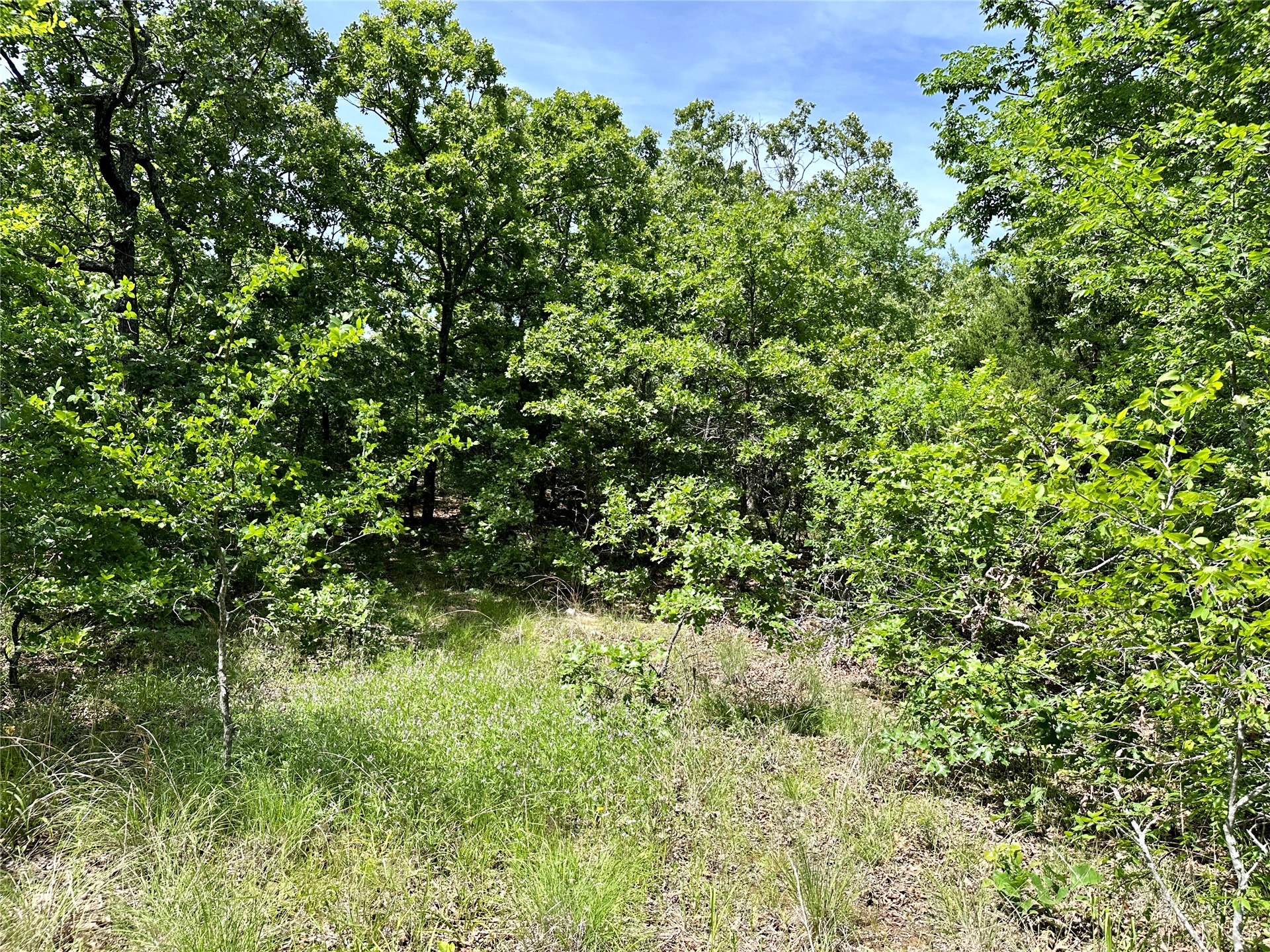 623 Dozer Mountain Road Eufaula OK 74432