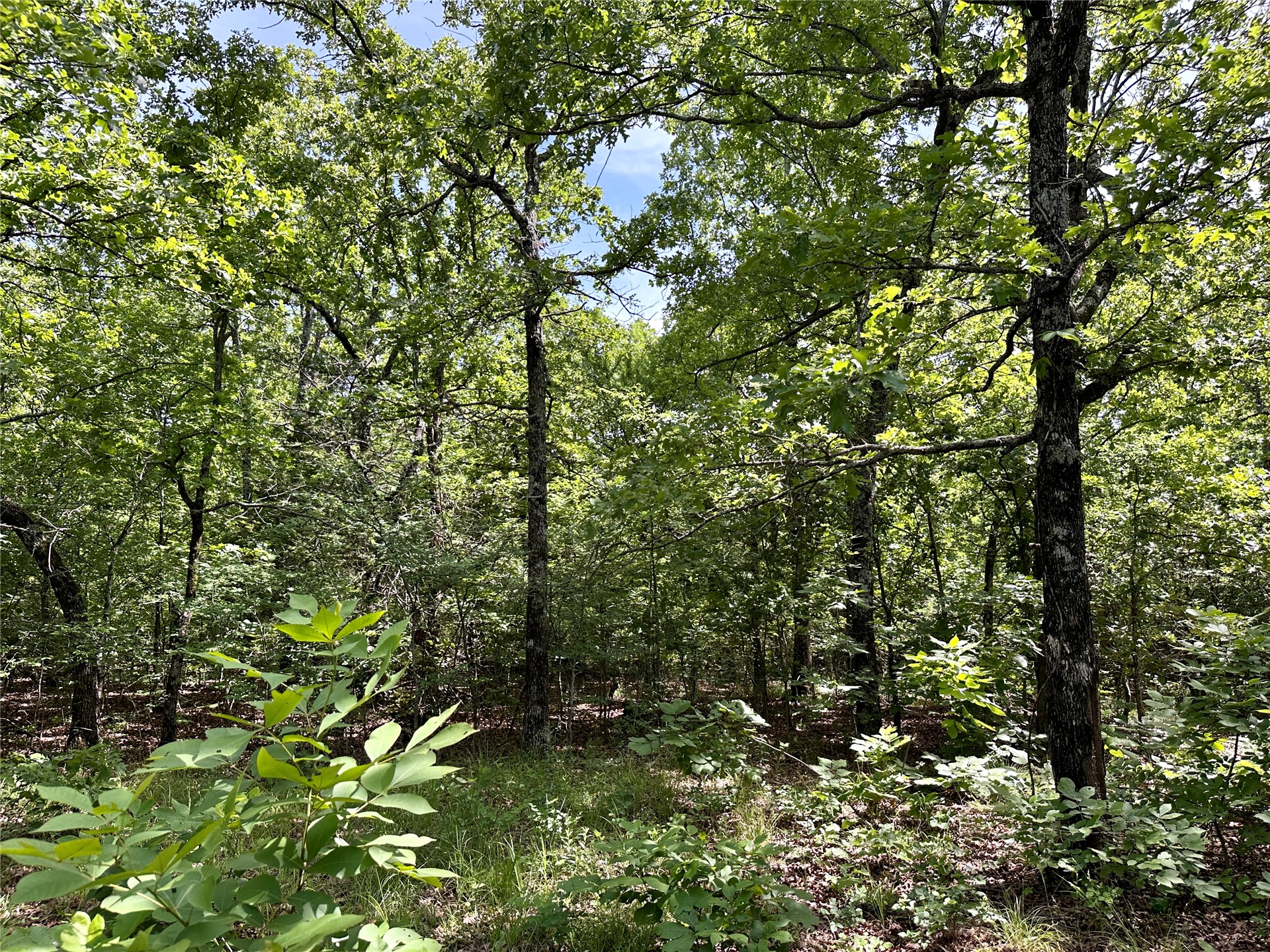 623 Dozer Mountain Road Eufaula OK 74432