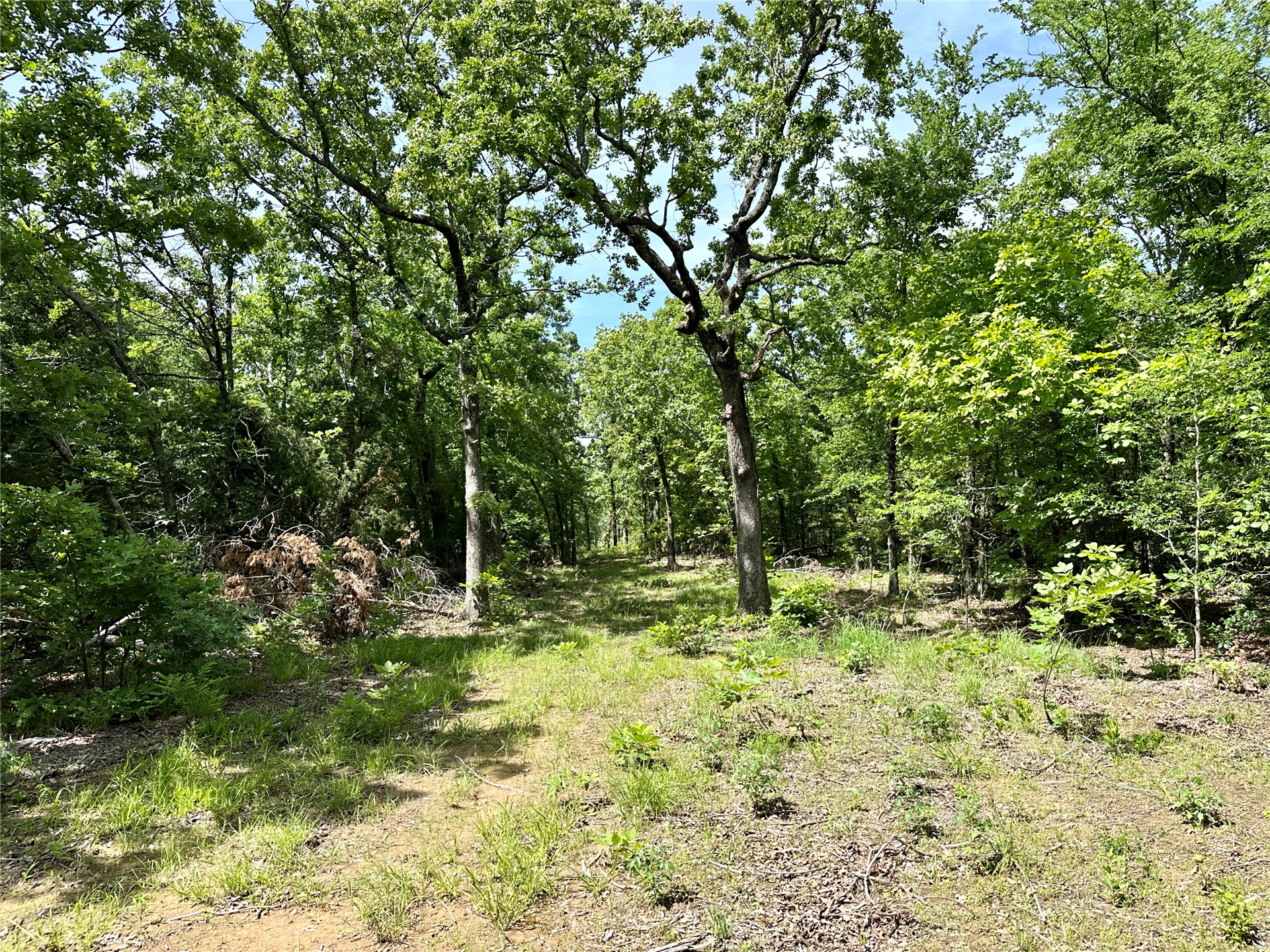 623 Dozer Mountain Road Eufaula OK 74432