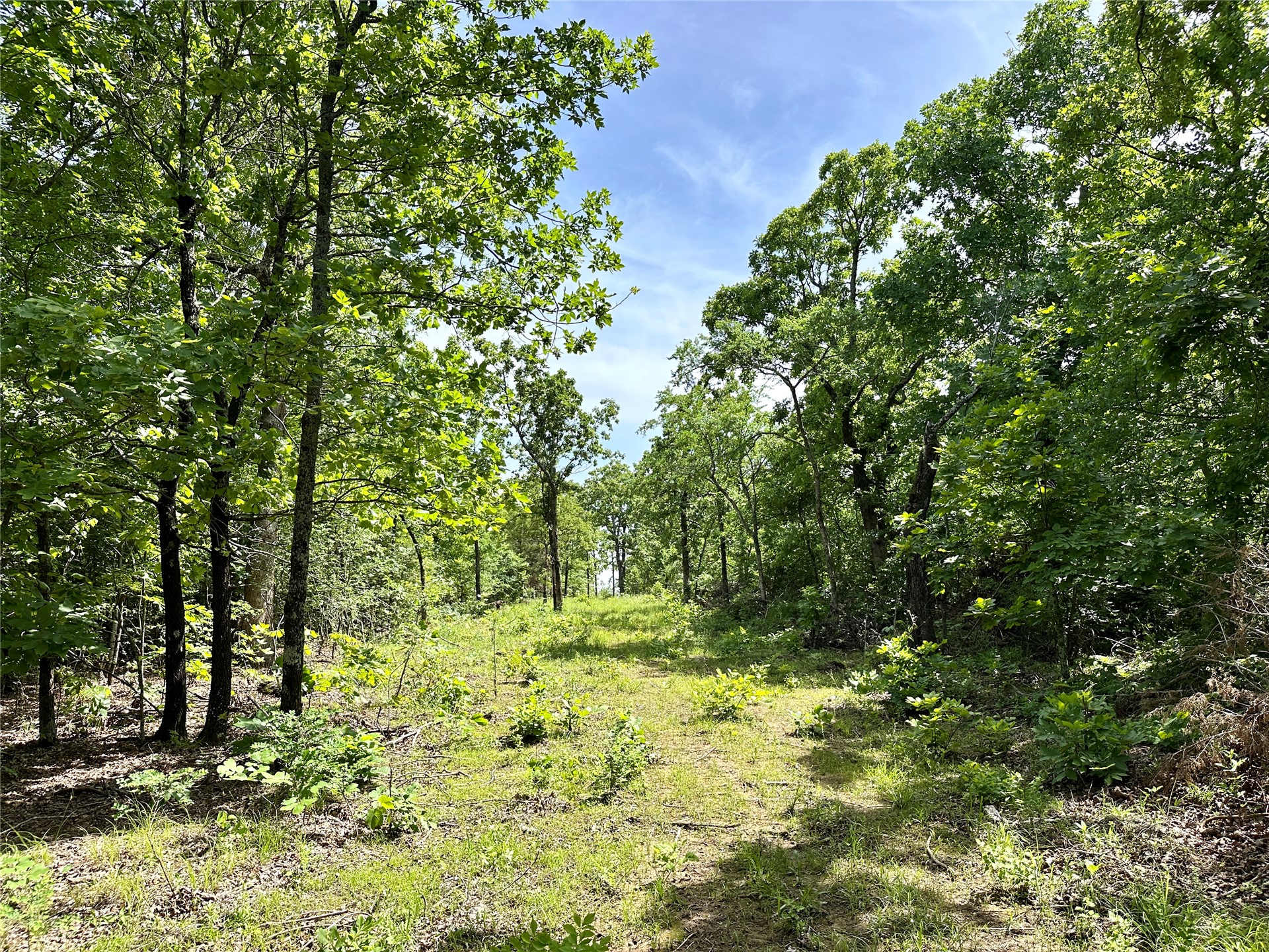 623 Dozer Mountain Road Eufaula OK 74432