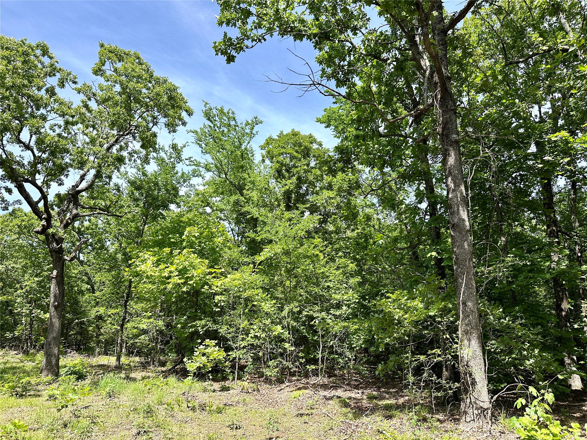 623 Dozer Mountain Road Eufaula OK 74432