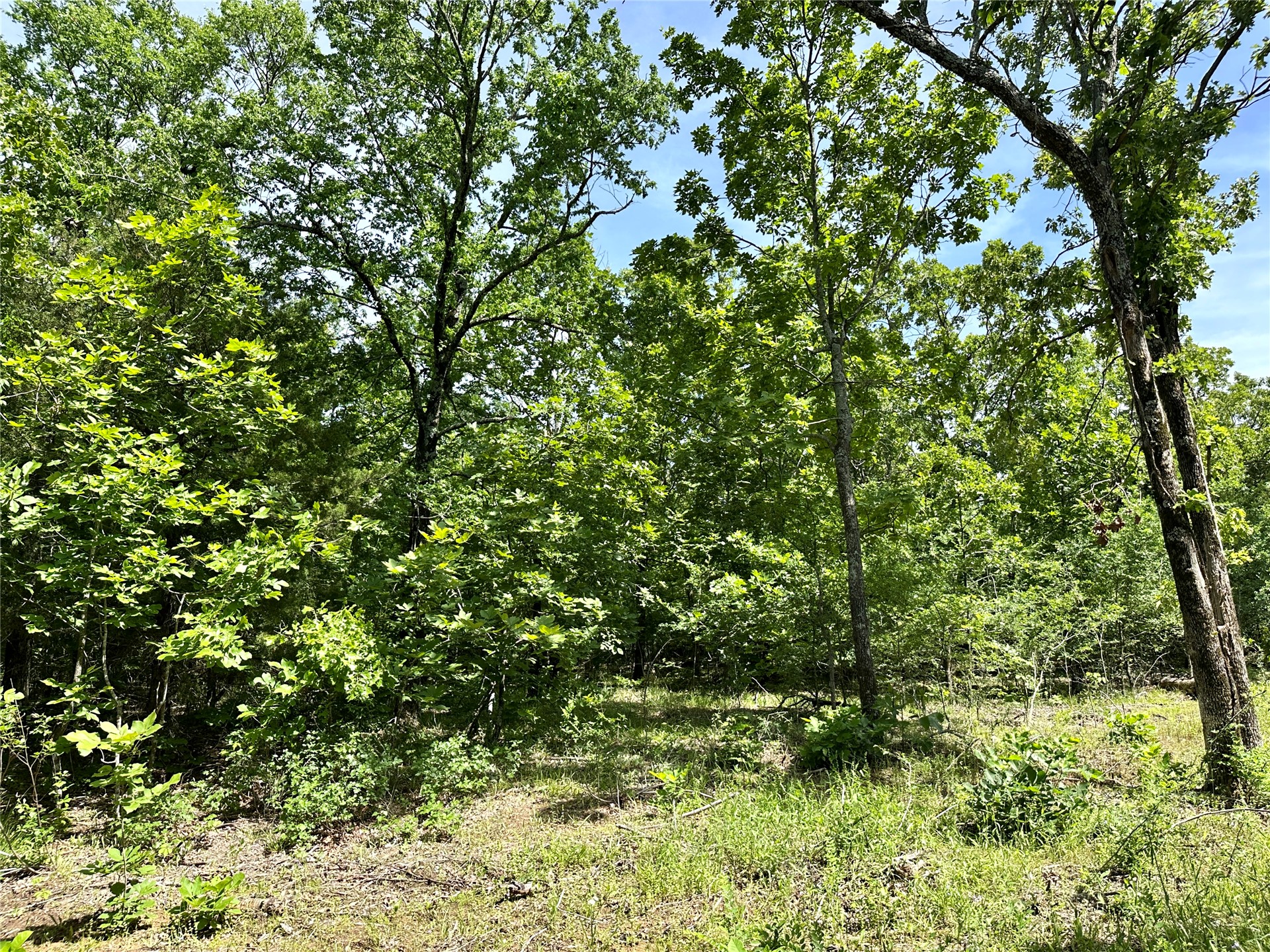 623 Dozer Mountain Road Eufaula OK 74432