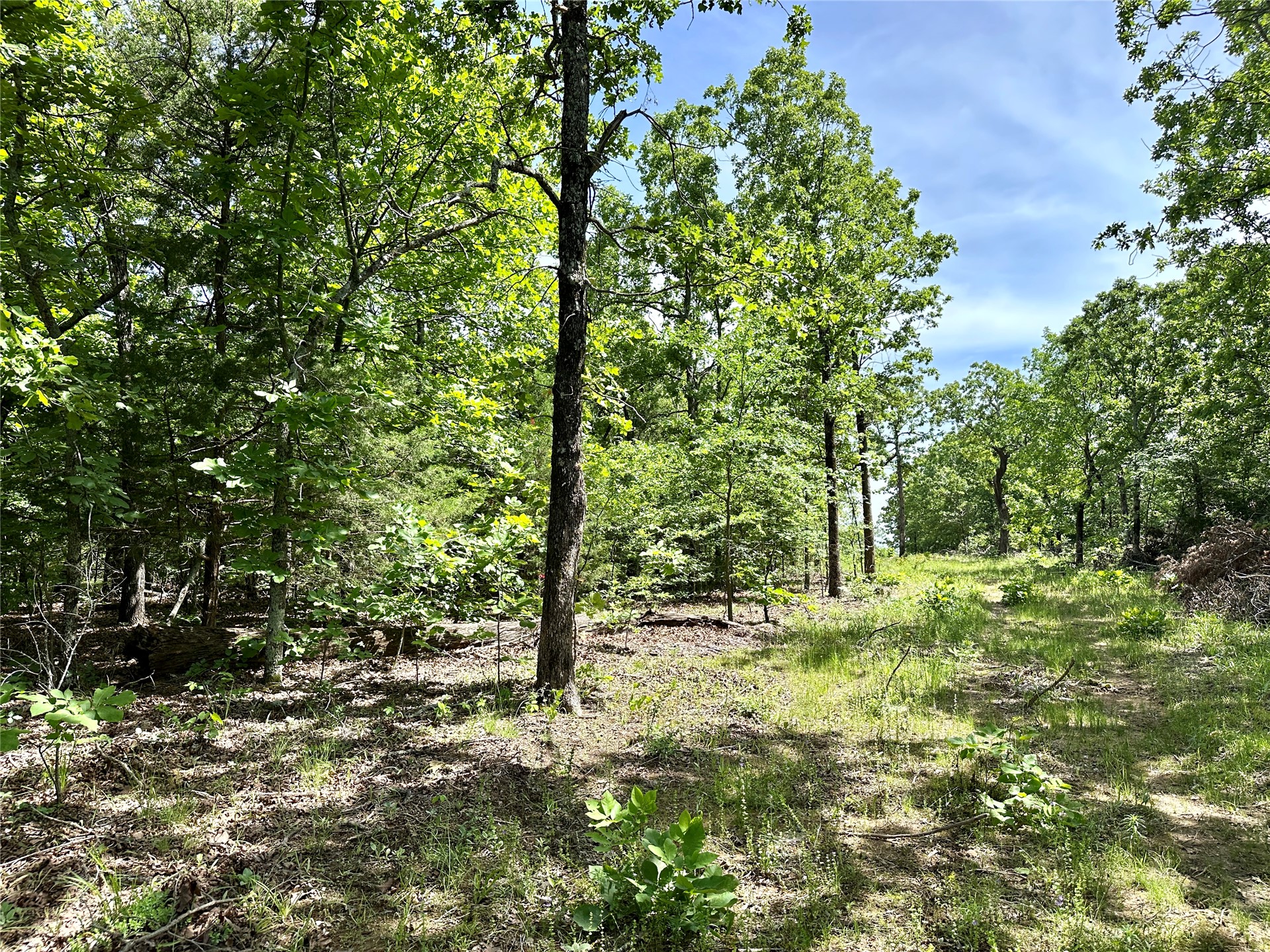 623 Dozer Mountain Road Eufaula OK 74432