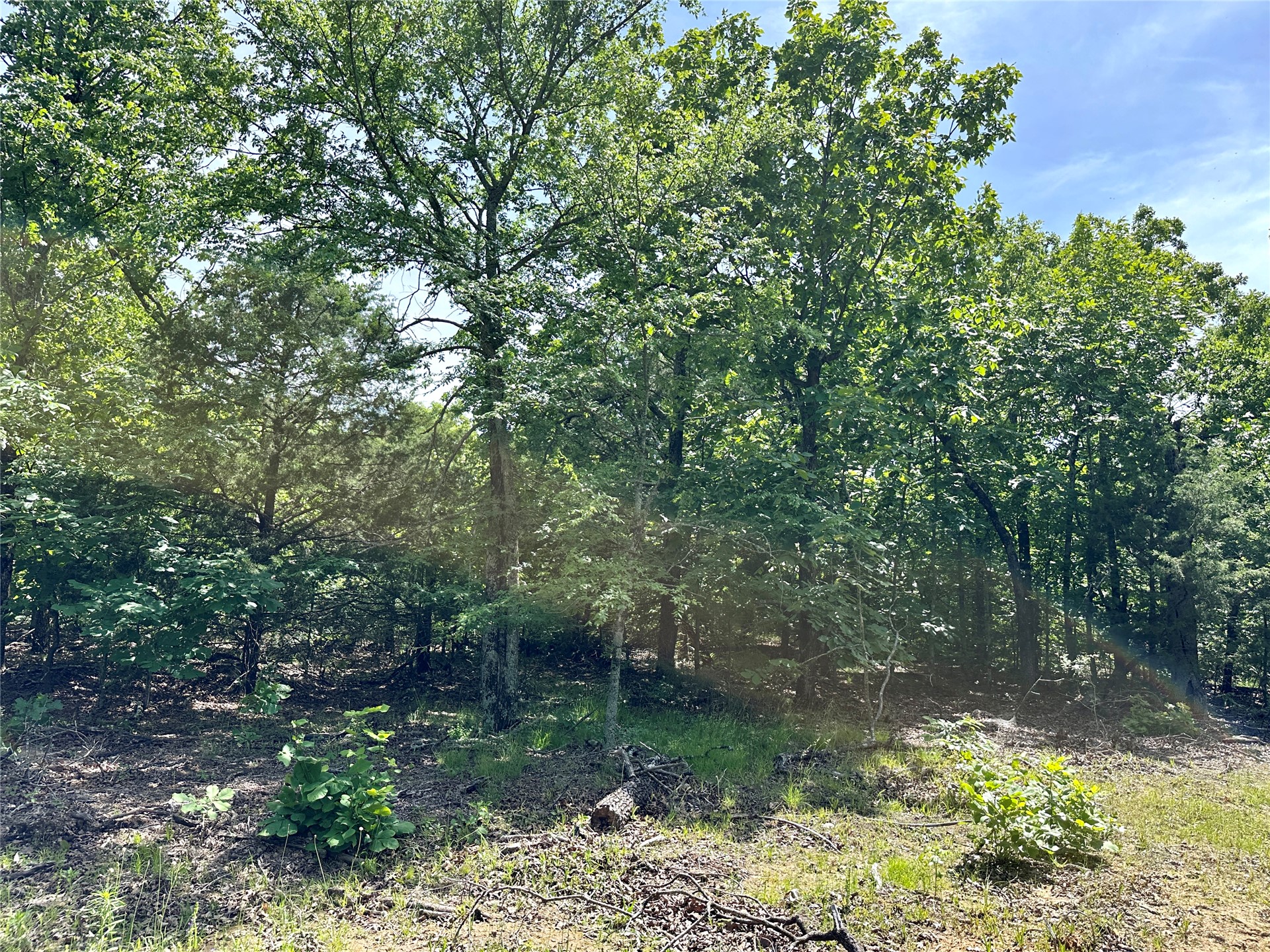 623 Dozer Mountain Road Eufaula OK 74432