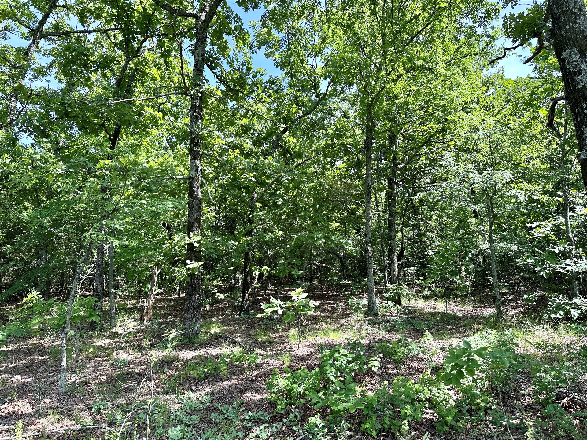 623 Dozer Mountain Road Eufaula OK 74432