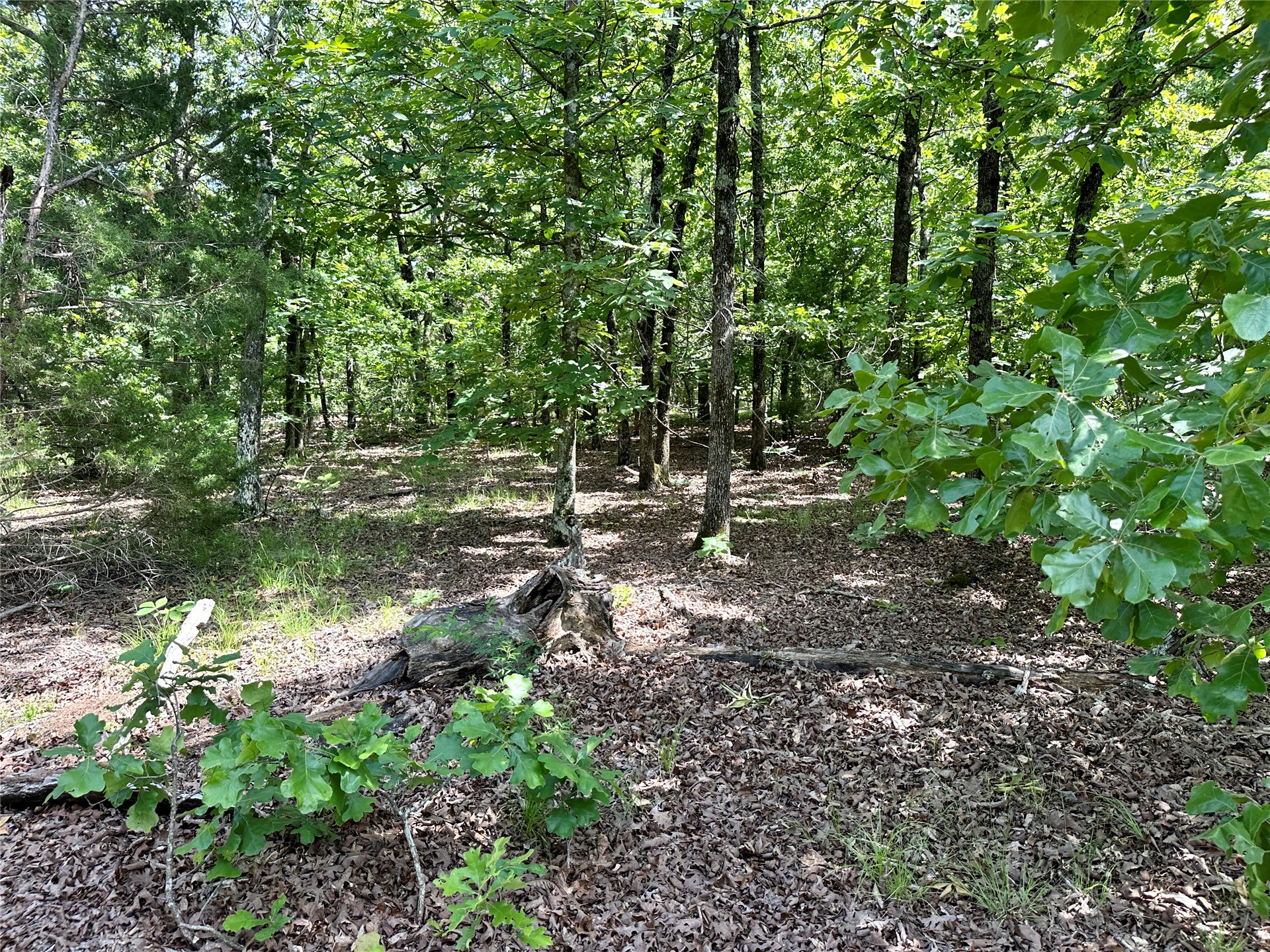 623 Dozer Mountain Road Eufaula OK 74432