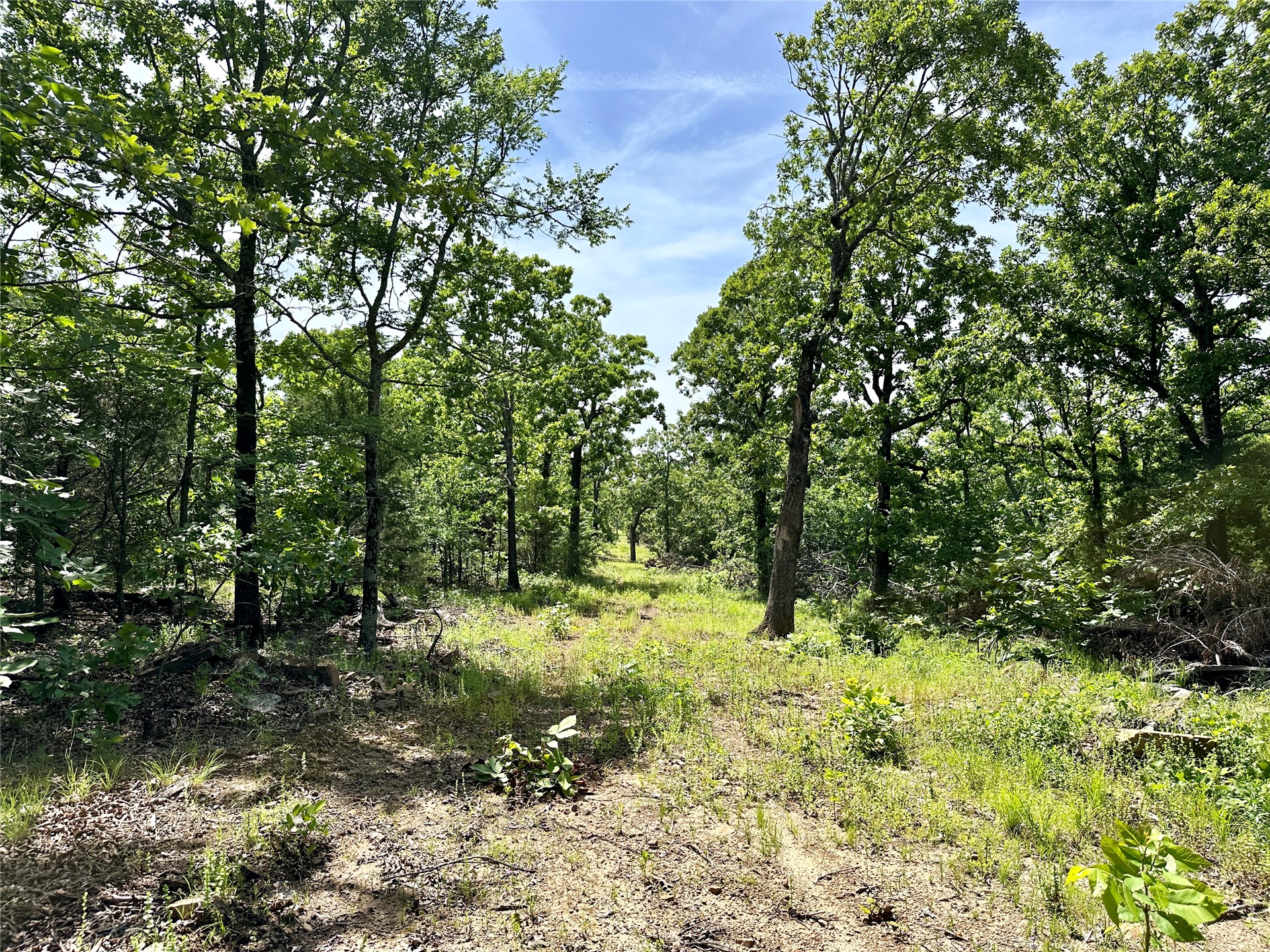 623 Dozer Mountain Road Eufaula OK 74432