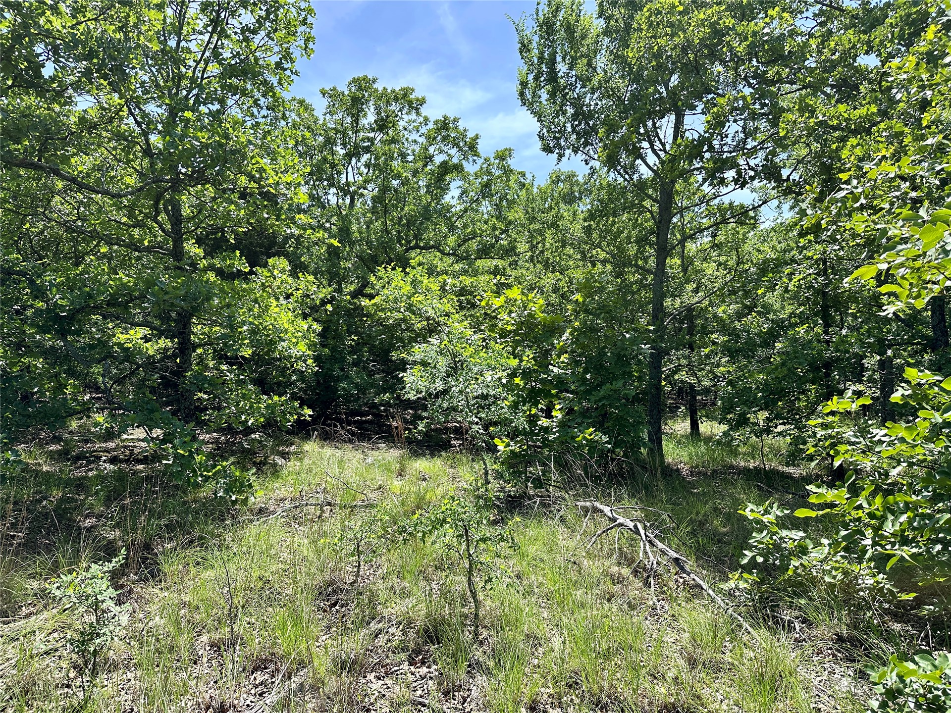 623 Dozer Mountain Road Eufaula OK 74432