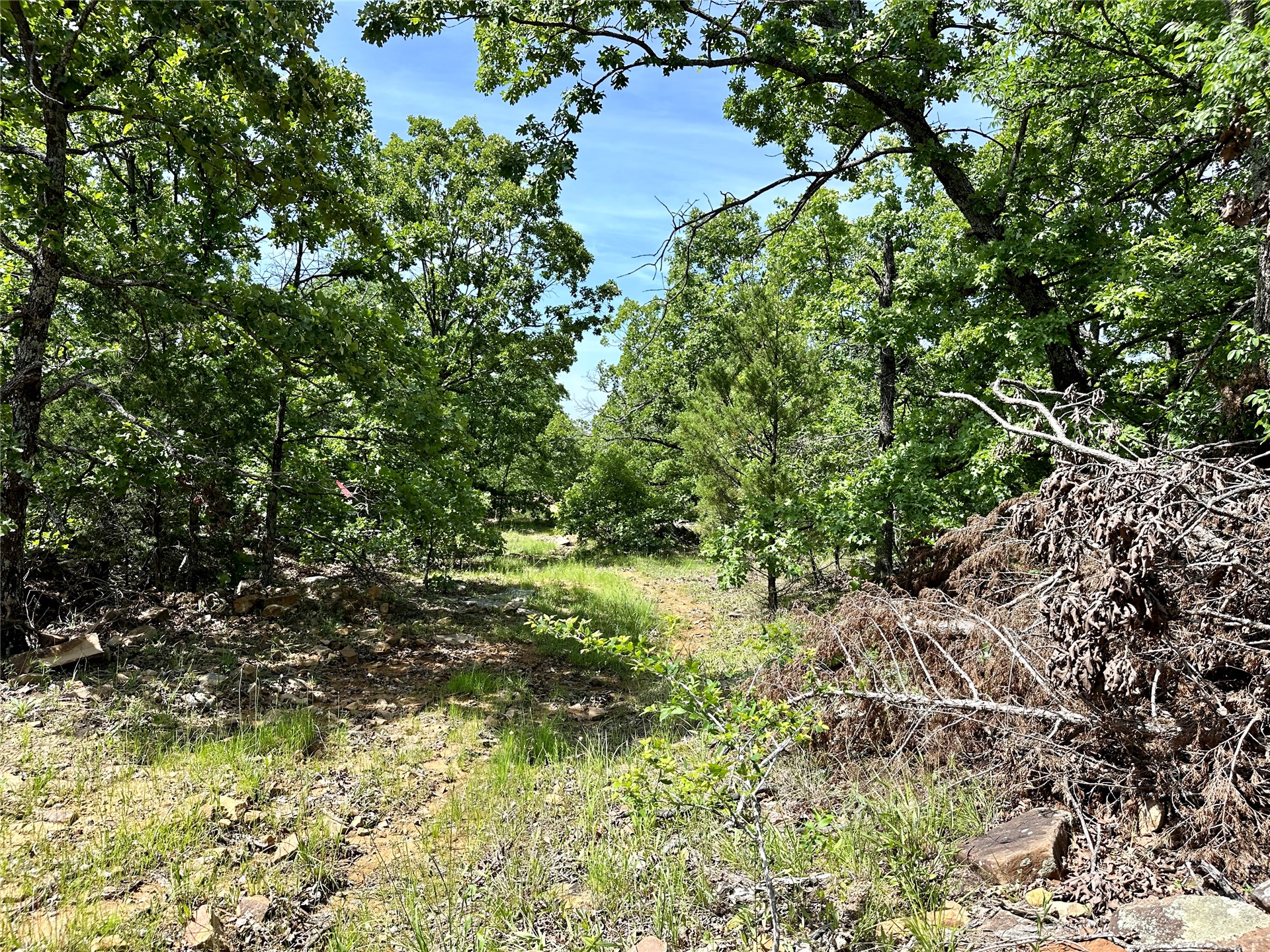 623 Dozer Mountain Road Eufaula OK 74432