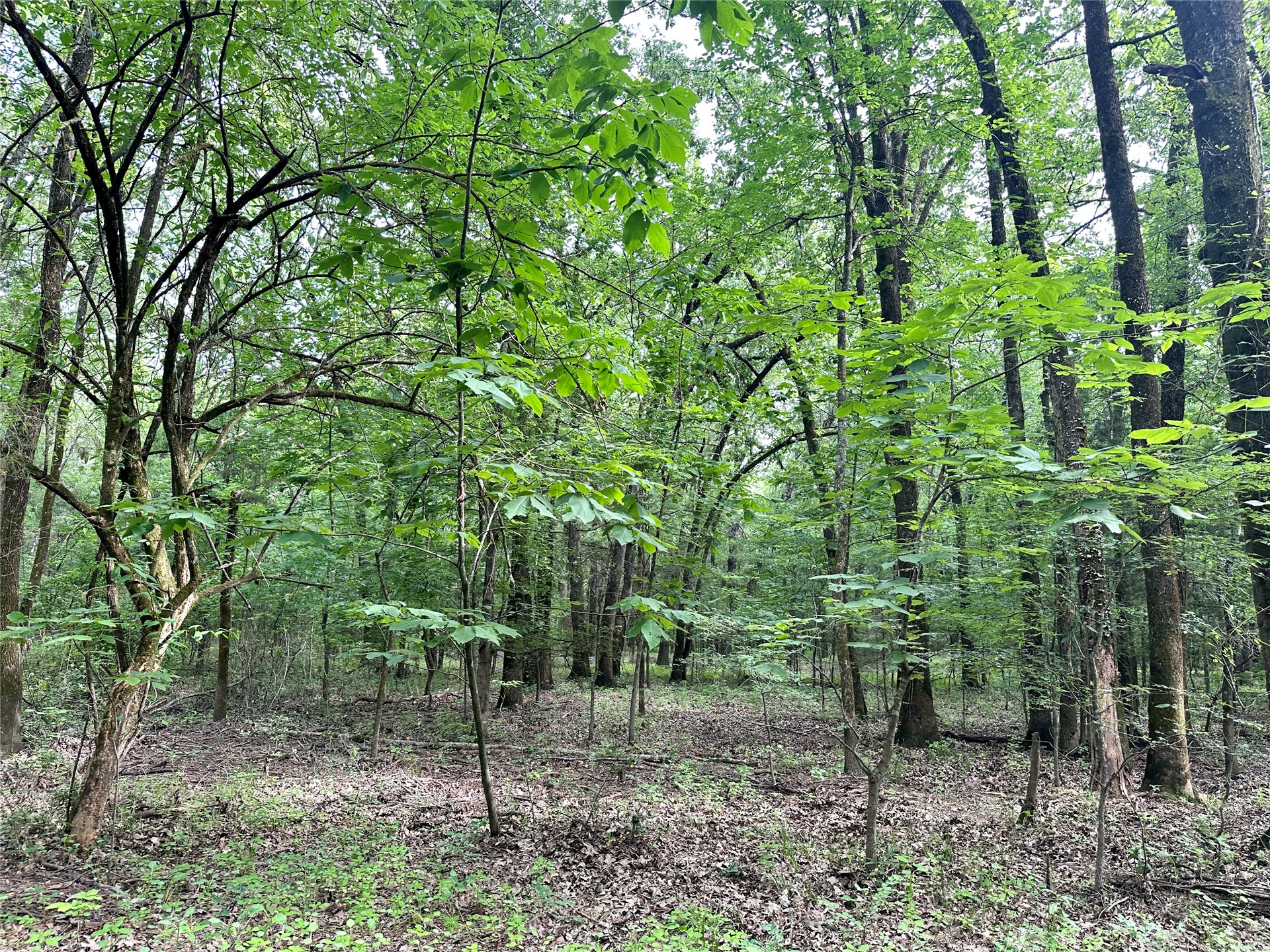 623 Dozer Mountain Road Eufaula OK 74432
