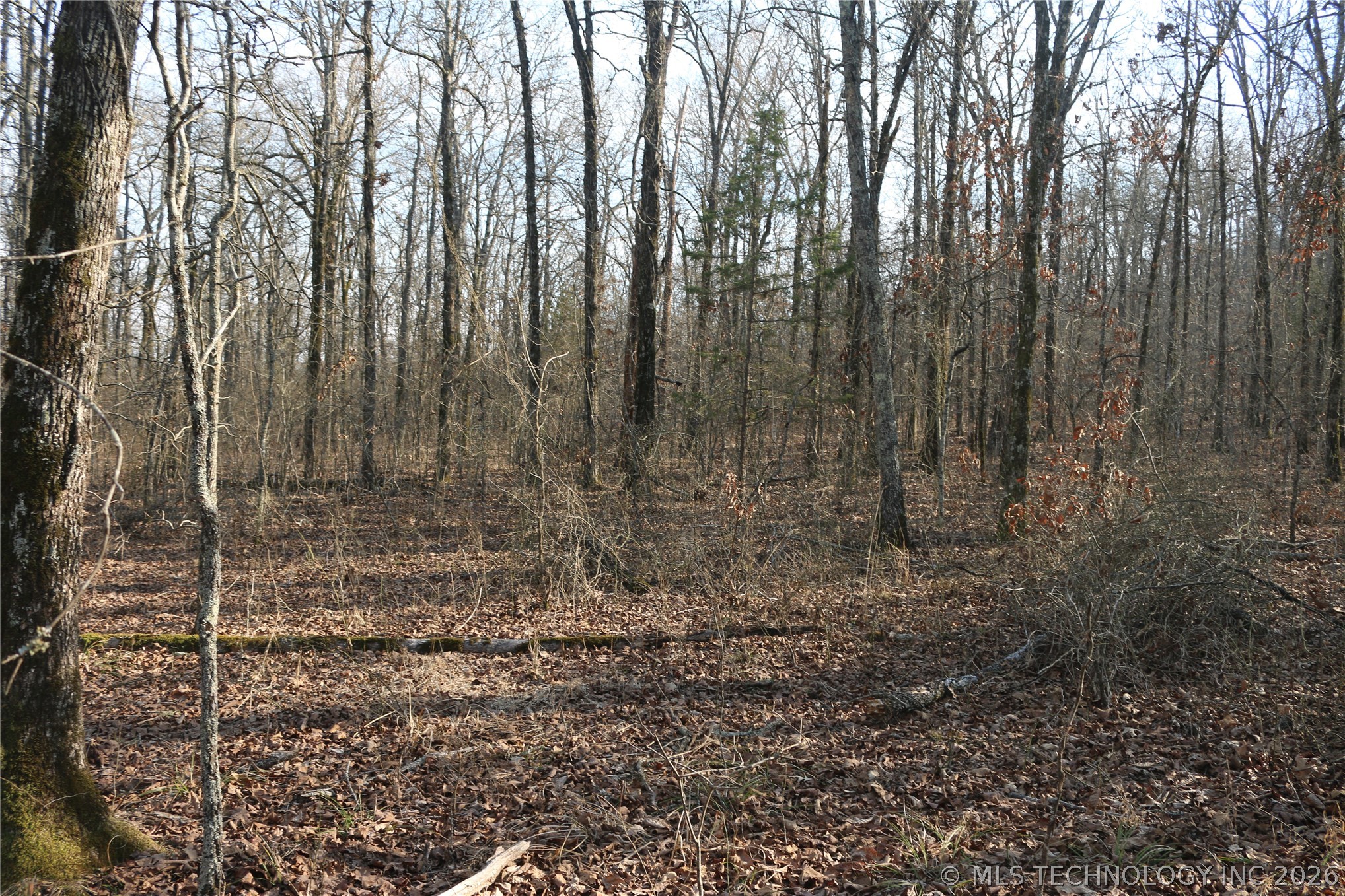 Kirk Mountain Stilwell OK 74960