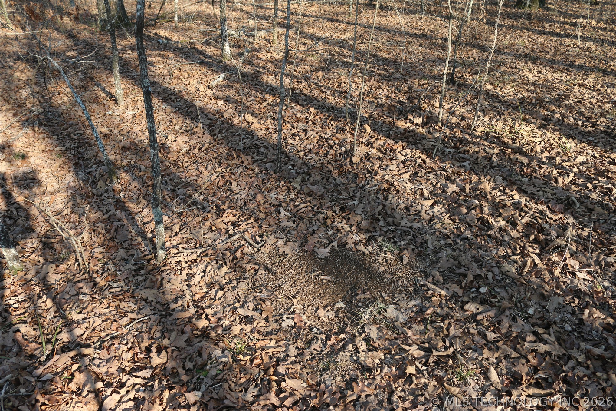 Kirk Mountain Stilwell OK 74960