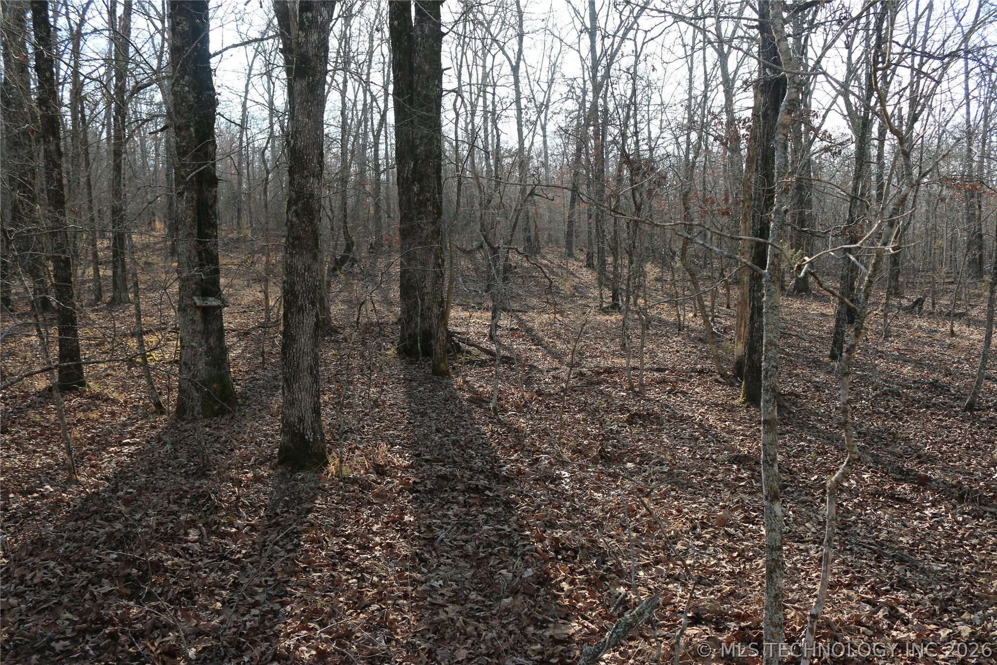 Kirk Mountain Stilwell OK 74960