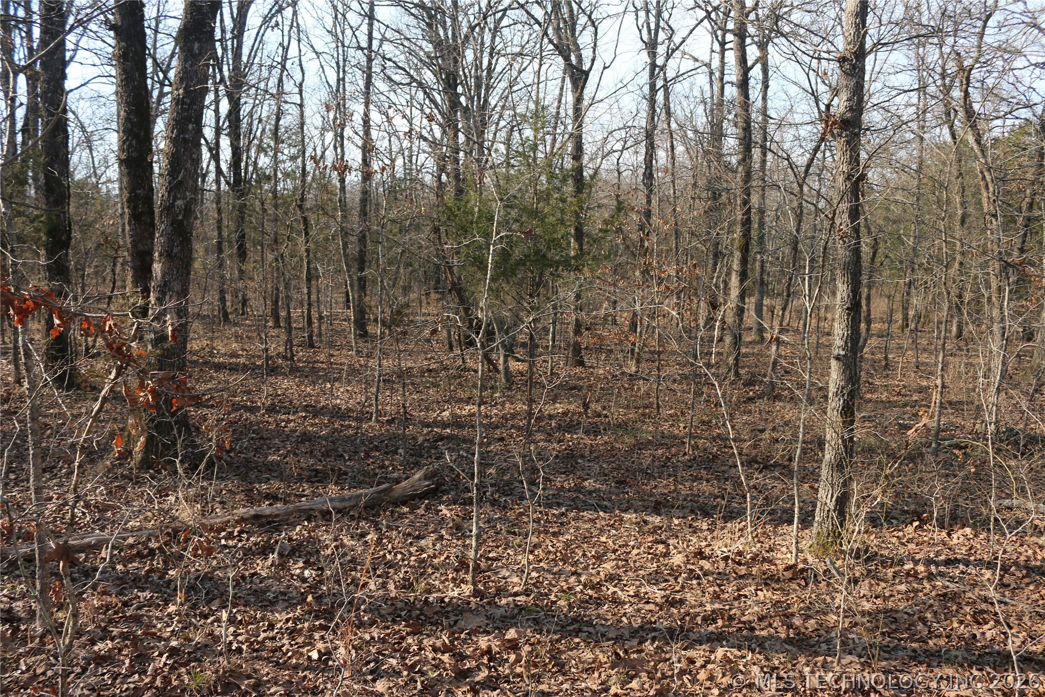 Kirk Mountain Stilwell OK 74960