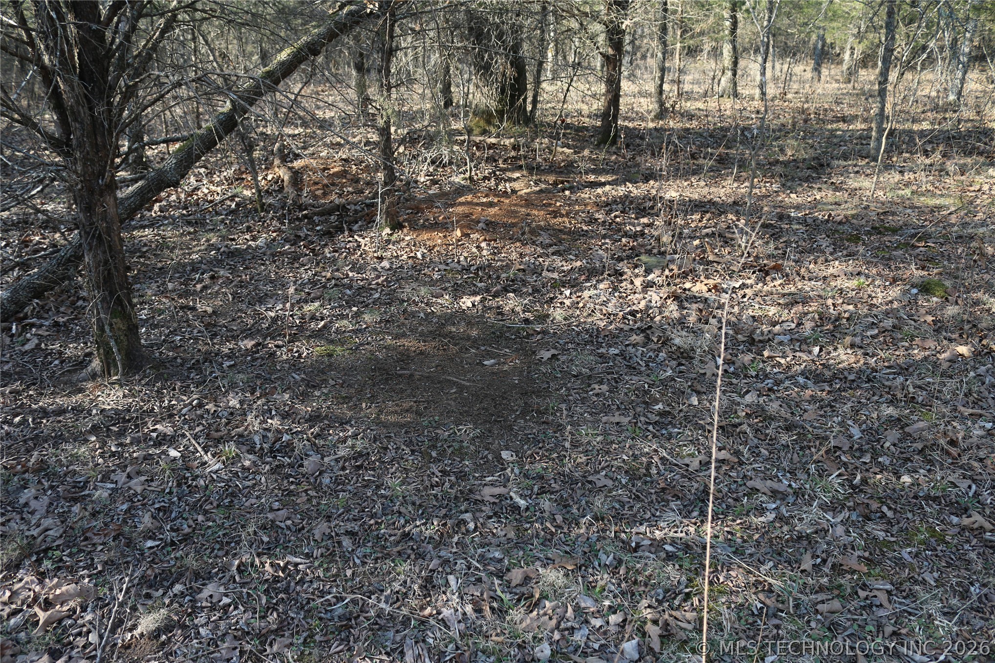 Kirk Mountain Stilwell OK 74960