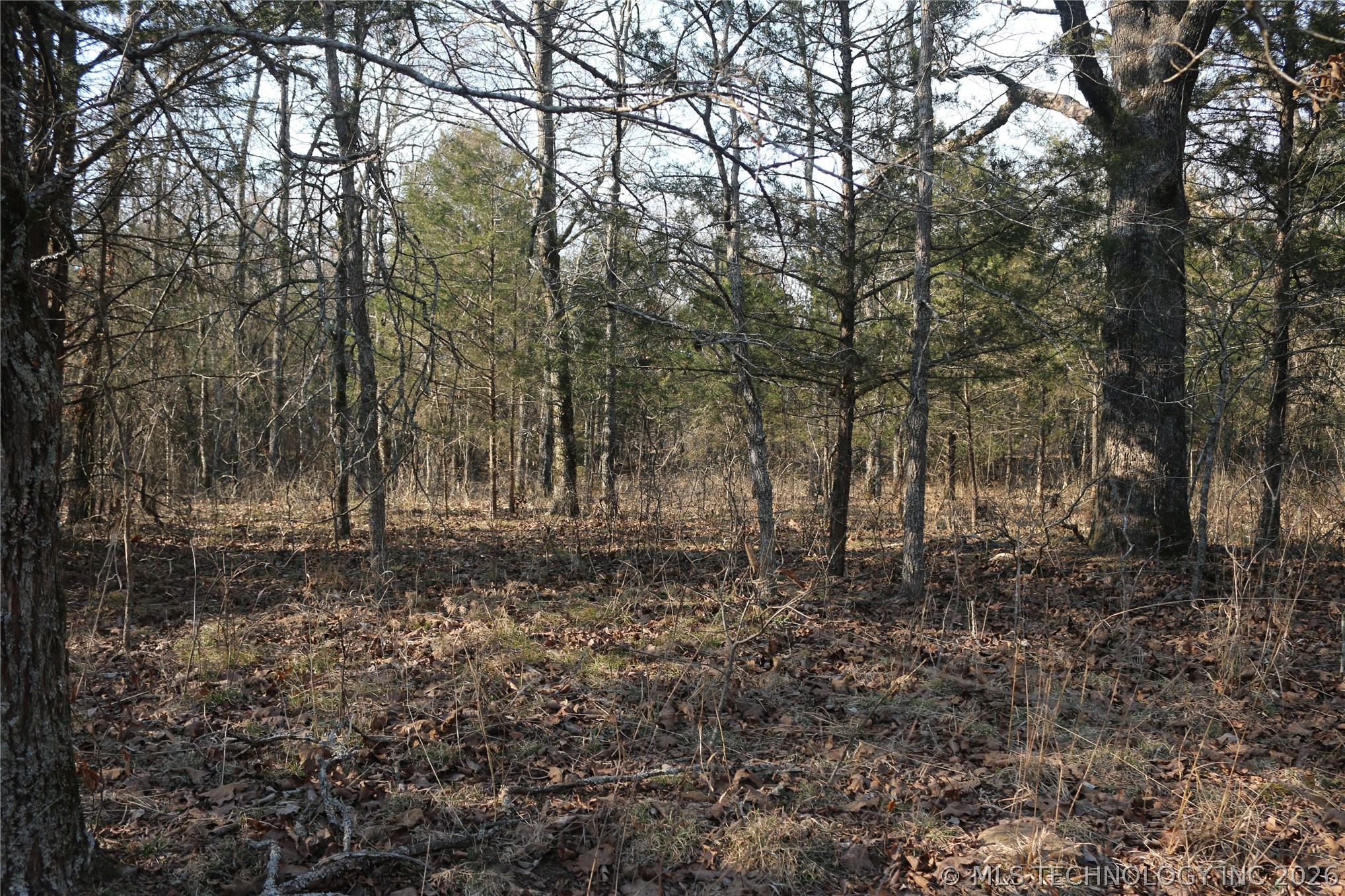 Kirk Mountain Stilwell OK 74960