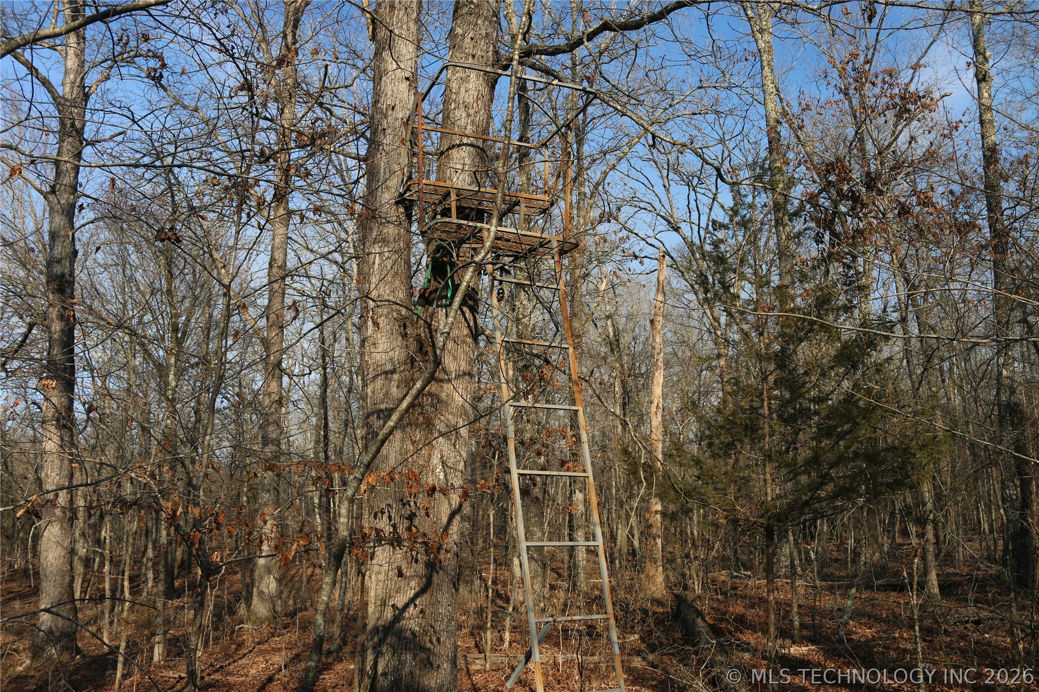 Kirk Mountain Stilwell OK 74960