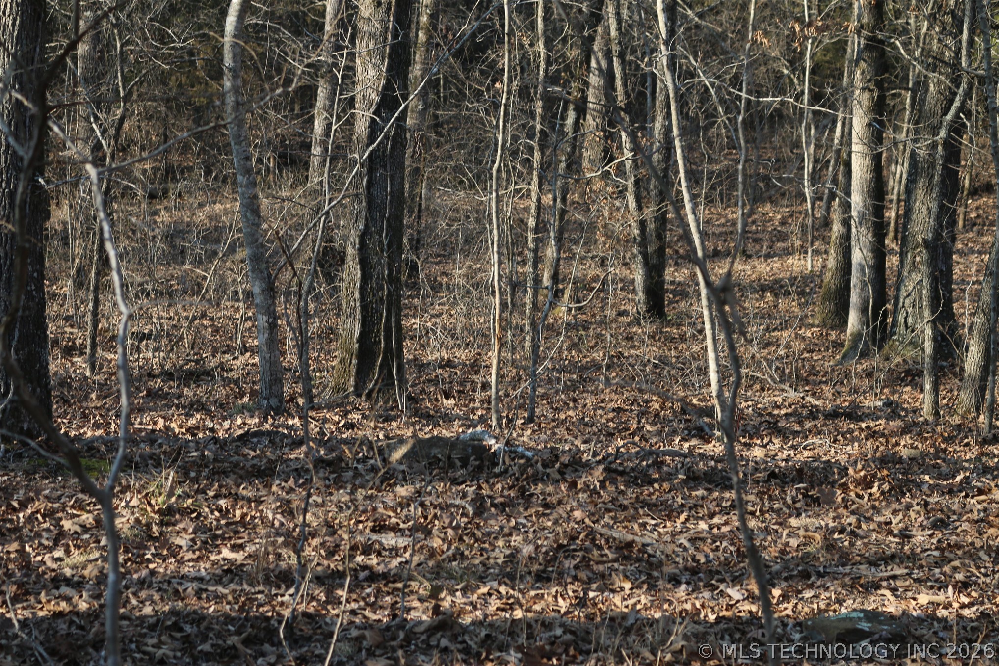 Kirk Mountain Stilwell OK 74960
