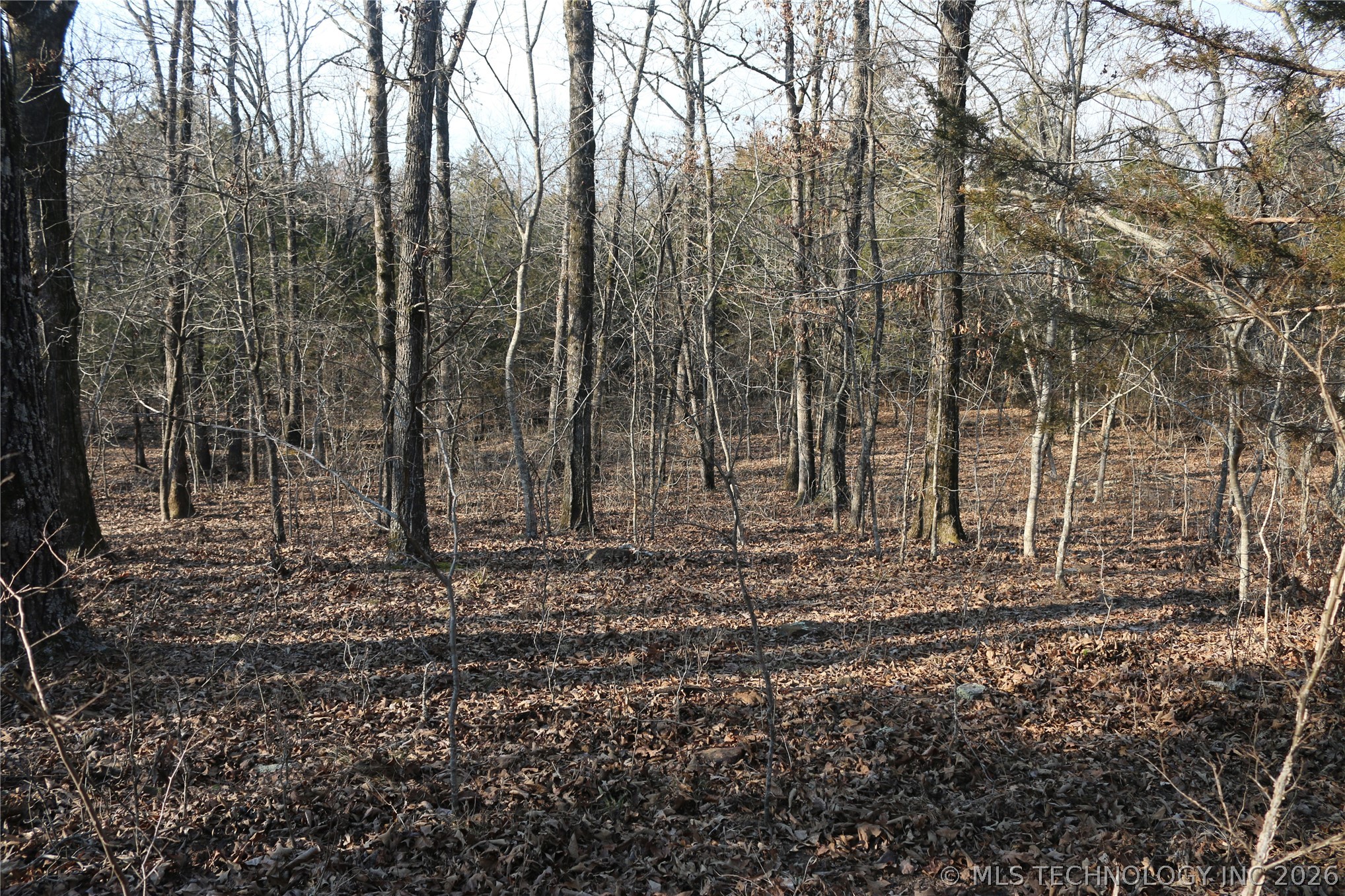 Kirk Mountain Stilwell OK 74960