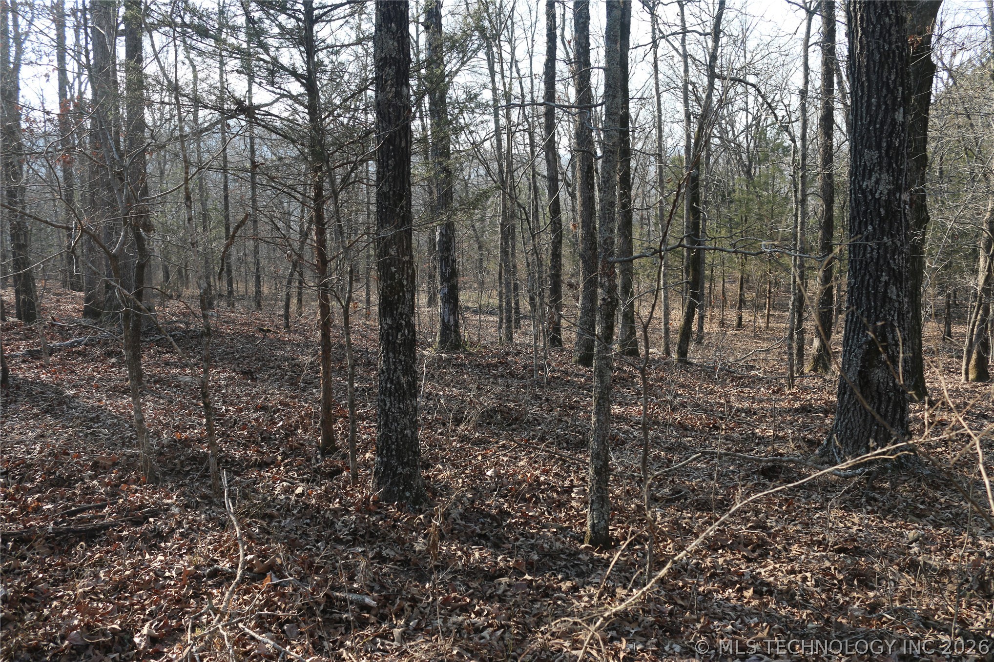 Kirk Mountain Stilwell OK 74960