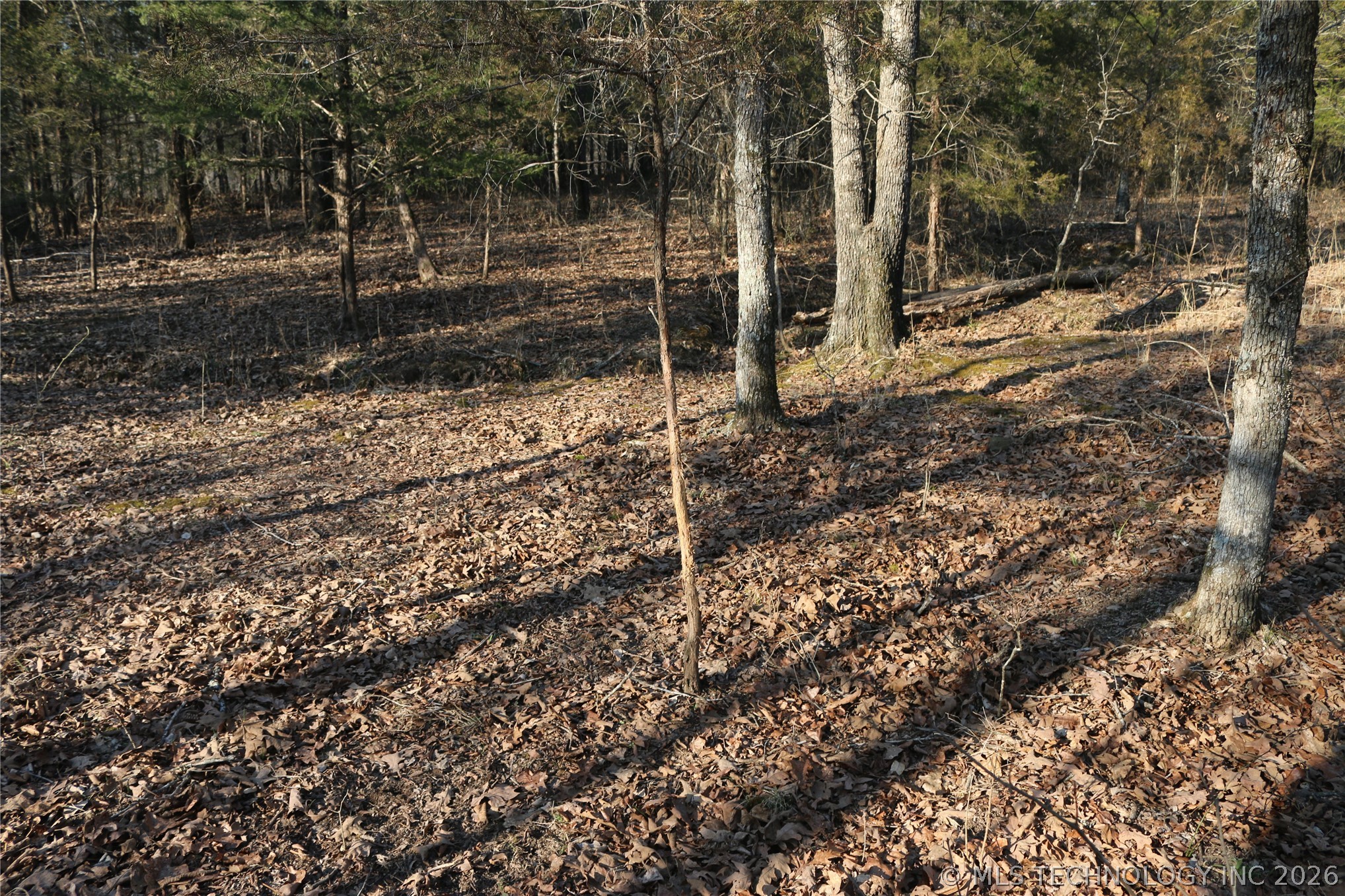Kirk Mountain Stilwell OK 74960