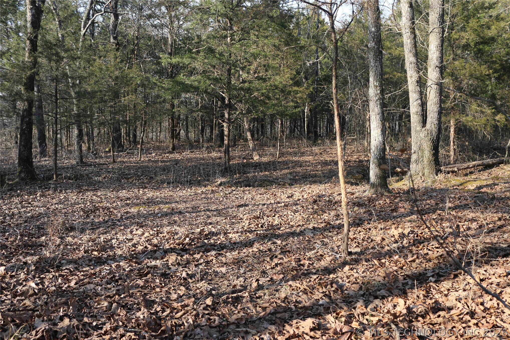 Kirk Mountain Stilwell OK 74960