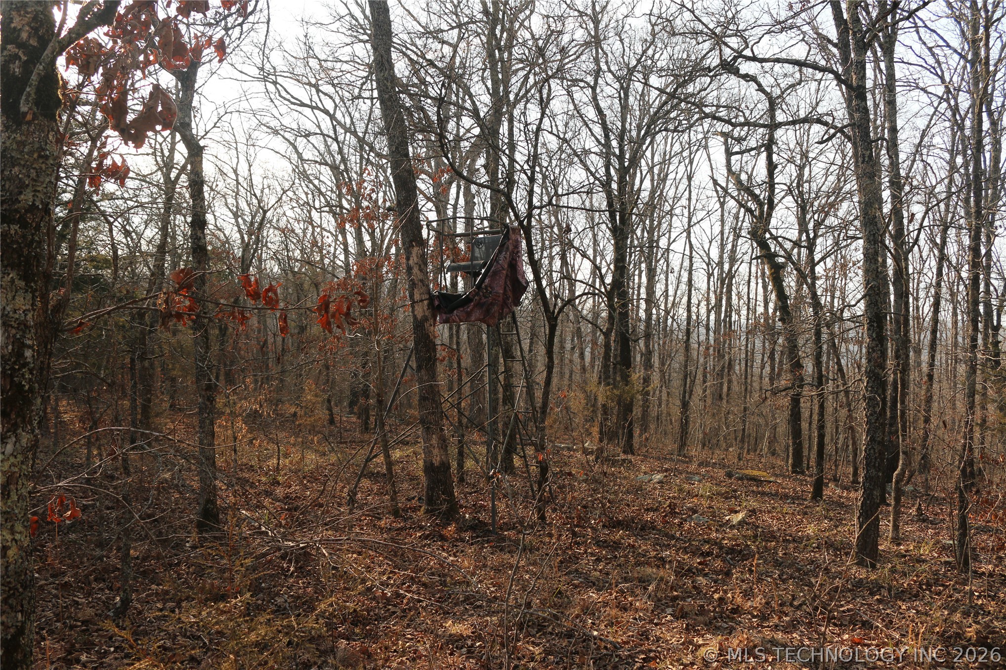Kirk Mountain Stilwell OK 74960