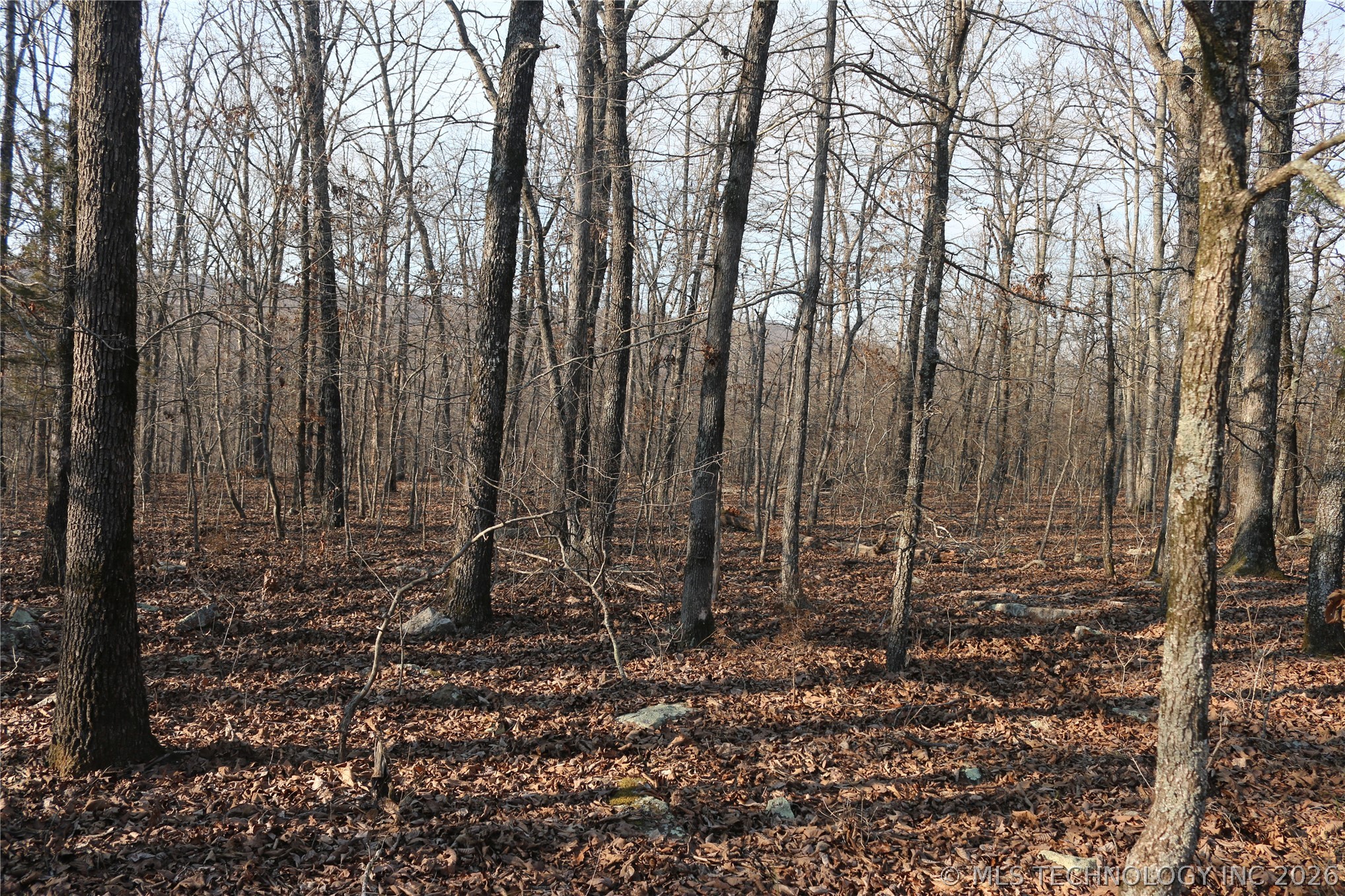 Kirk Mountain Stilwell OK 74960