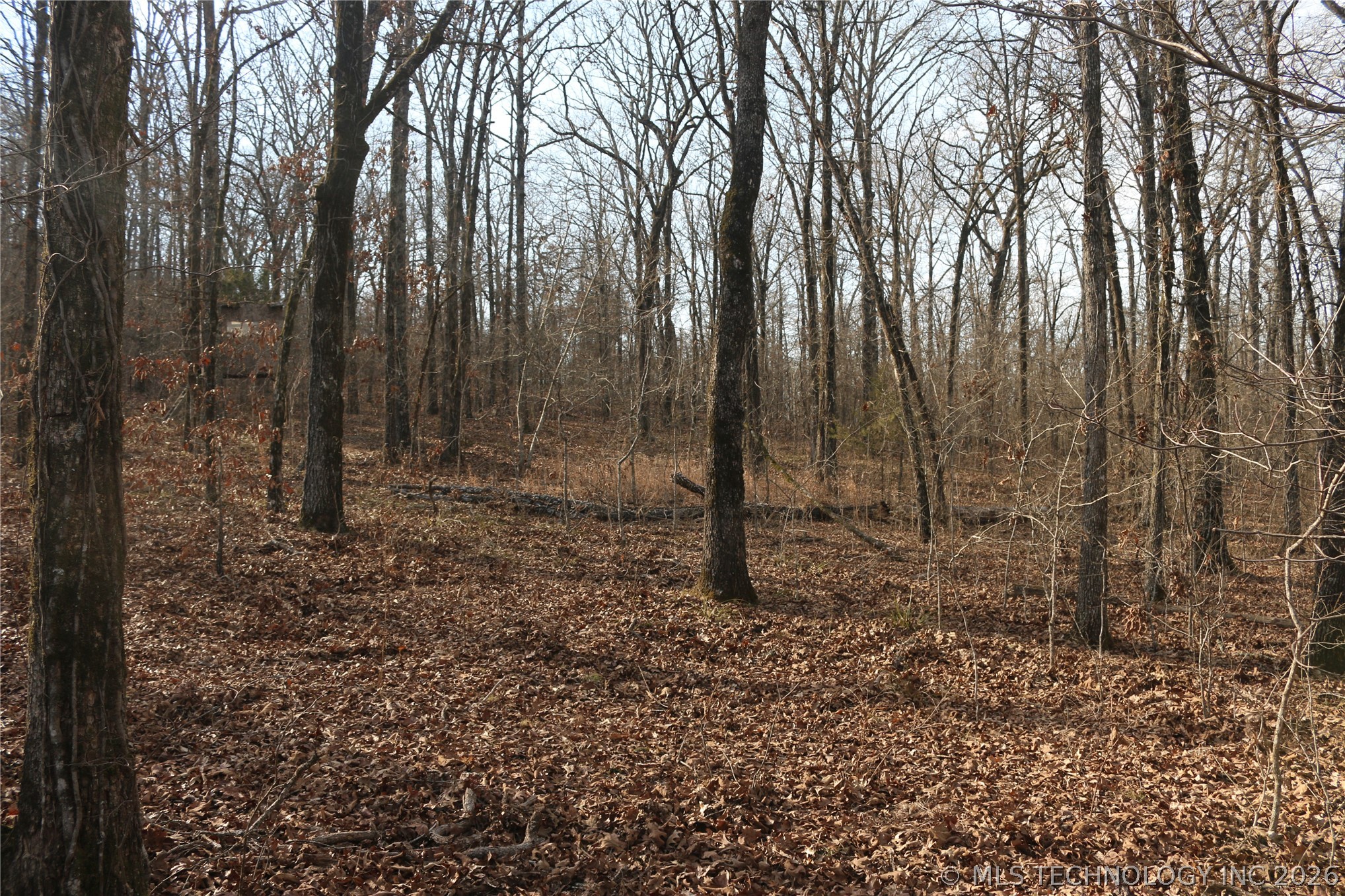 Kirk Mountain Stilwell OK 74960