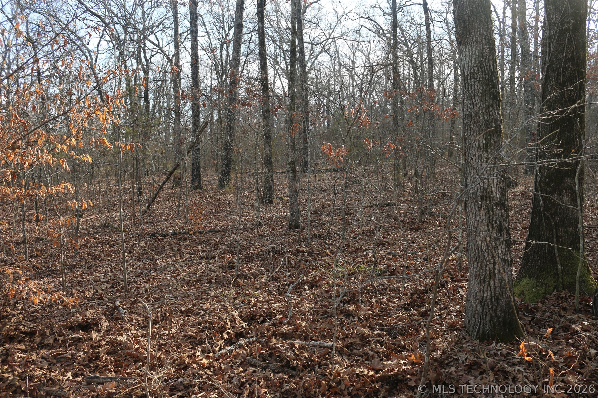 Kirk Mountain Stilwell OK 74960