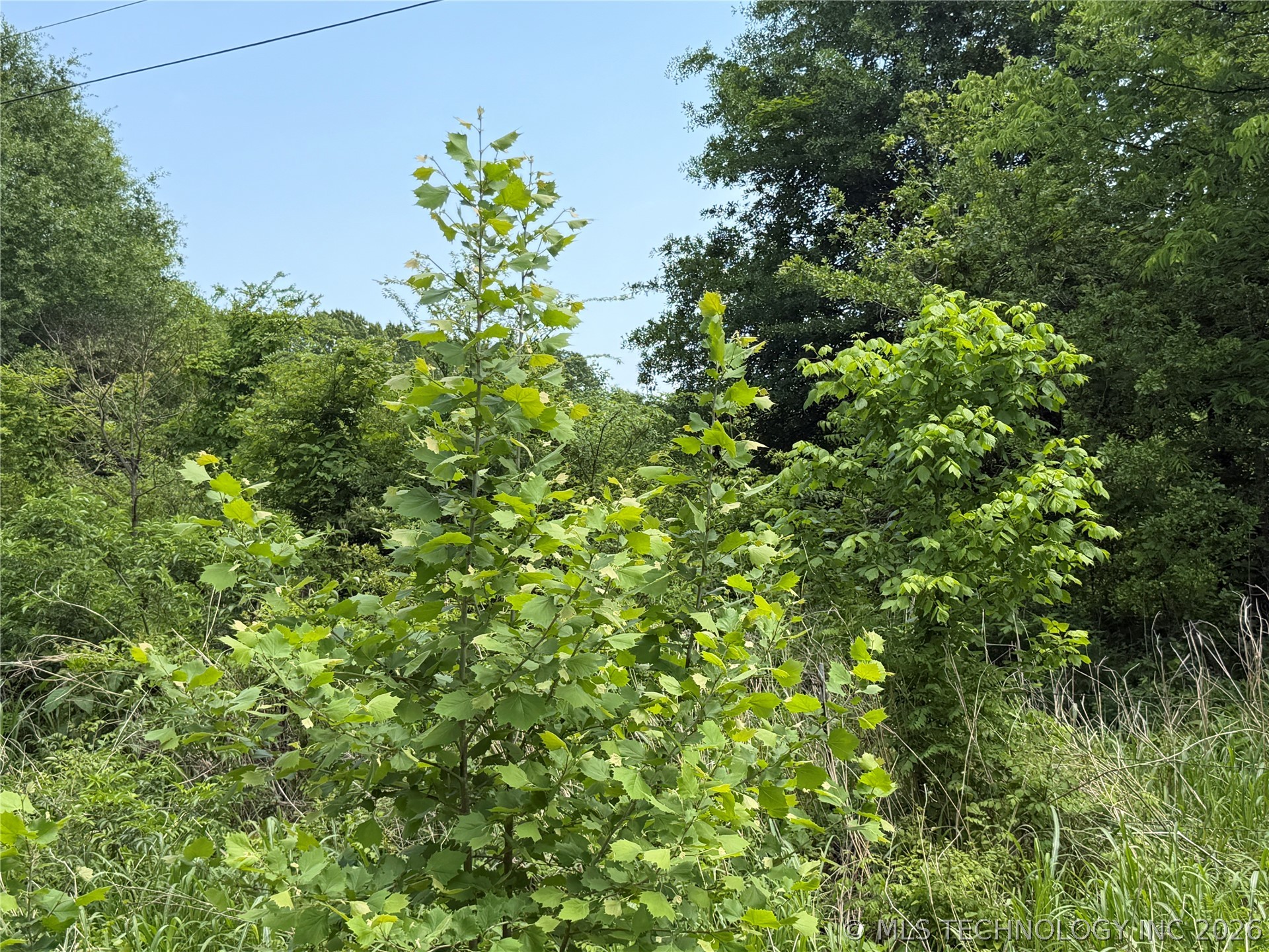 4070 Eufaula OK 74432