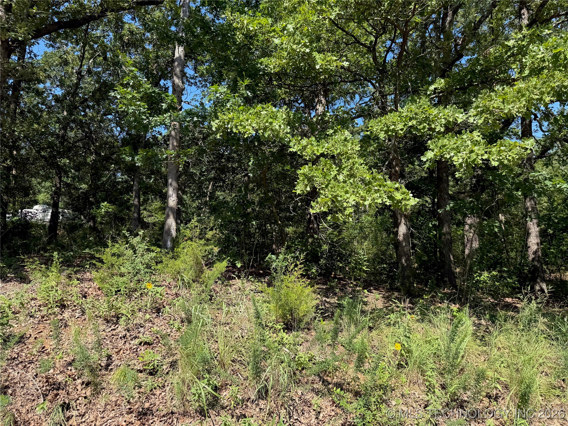 2817 Creek Road Sulphur OK 73086