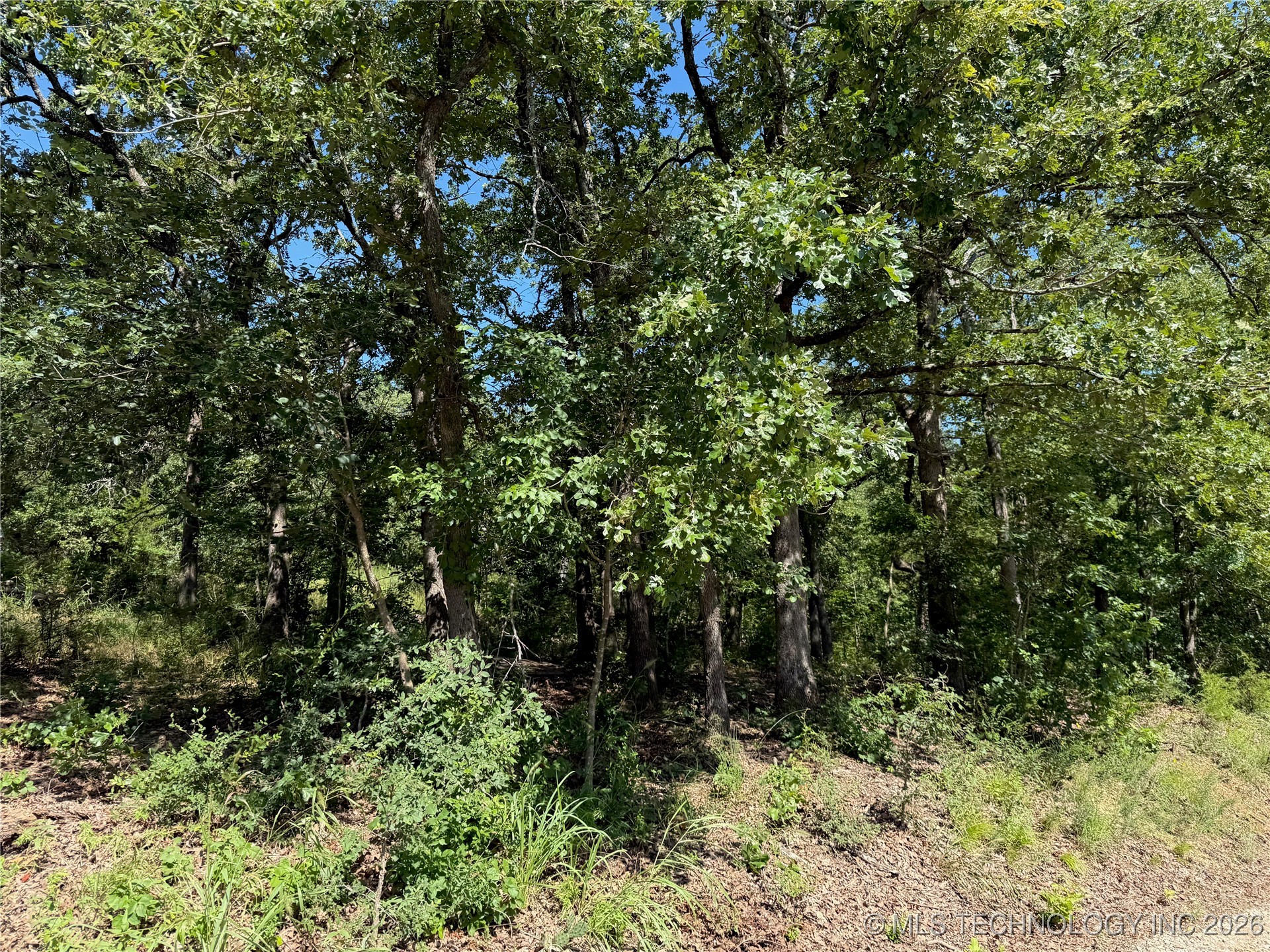 2817 Creek Road Sulphur OK 73086