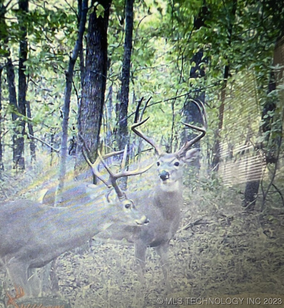 0000 S 4100 Road Claremore OK 74017